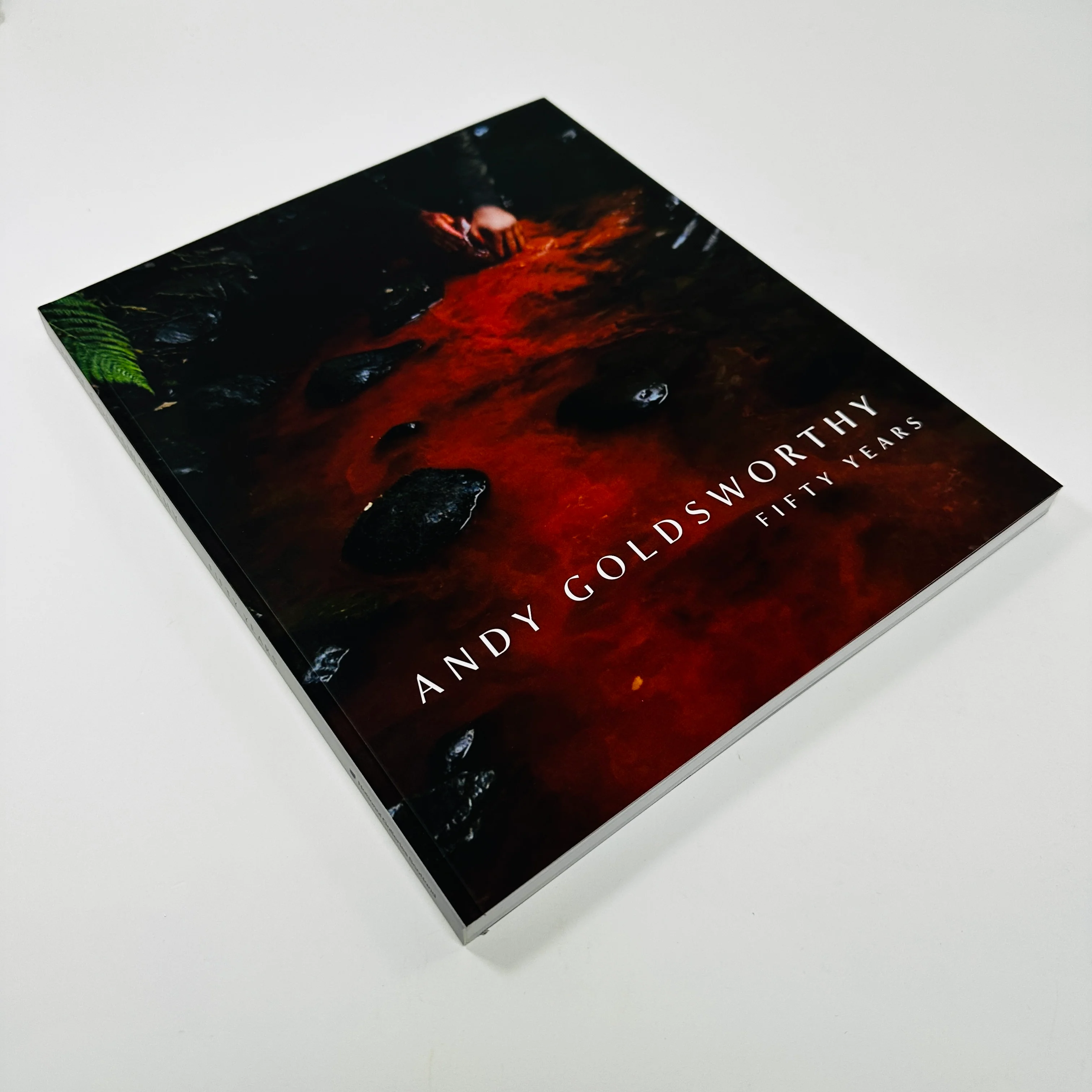Andy Goldsworthy - Fifty Years - Image 2