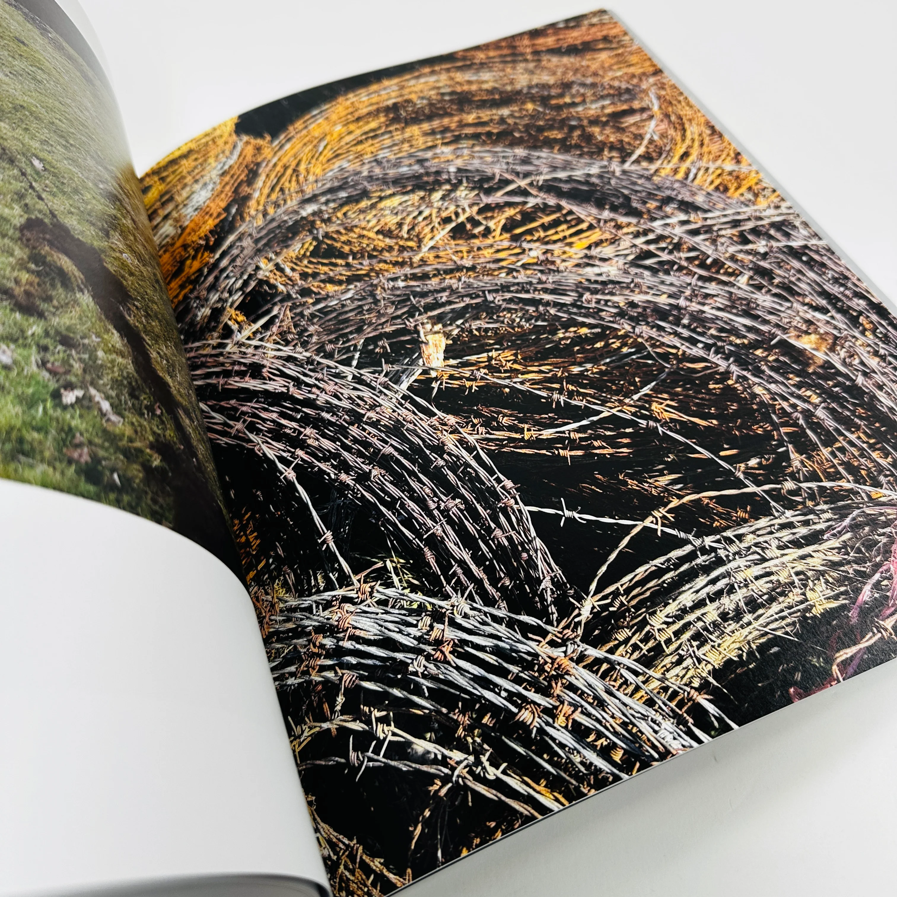 Andy Goldsworthy - Fifty Years - Image 5