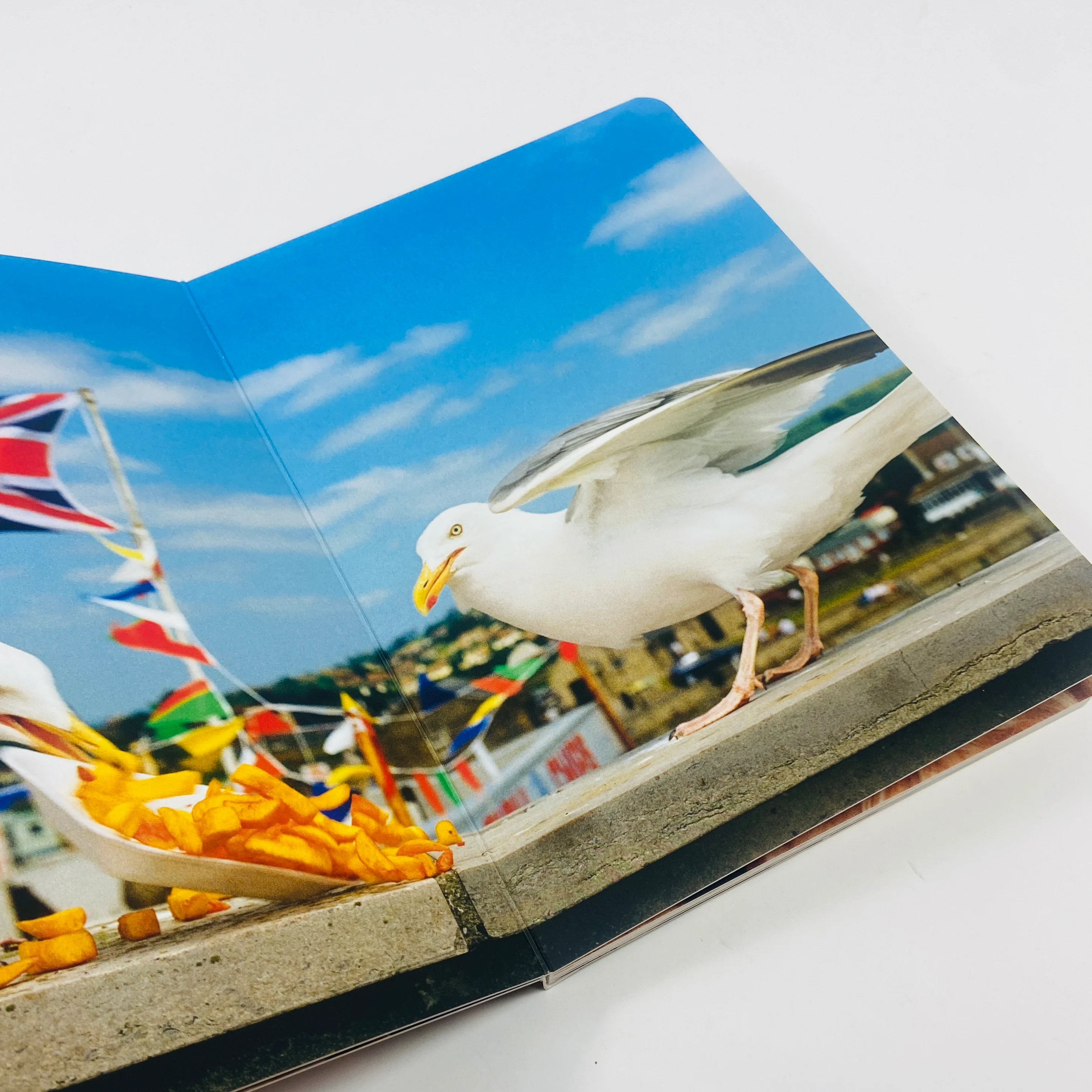 Animals - Martin Parr - Image 3