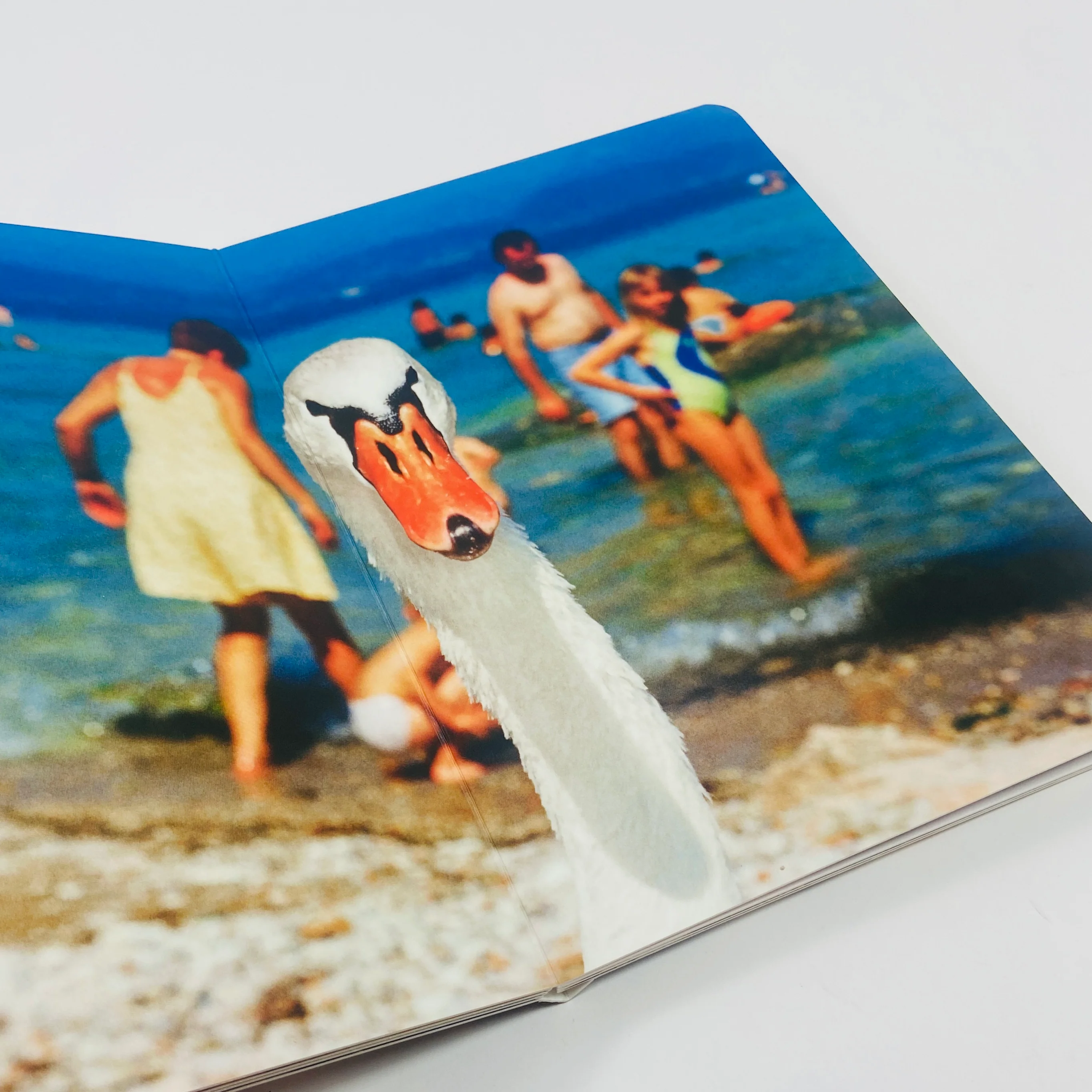 Animals - Martin Parr - Image 7