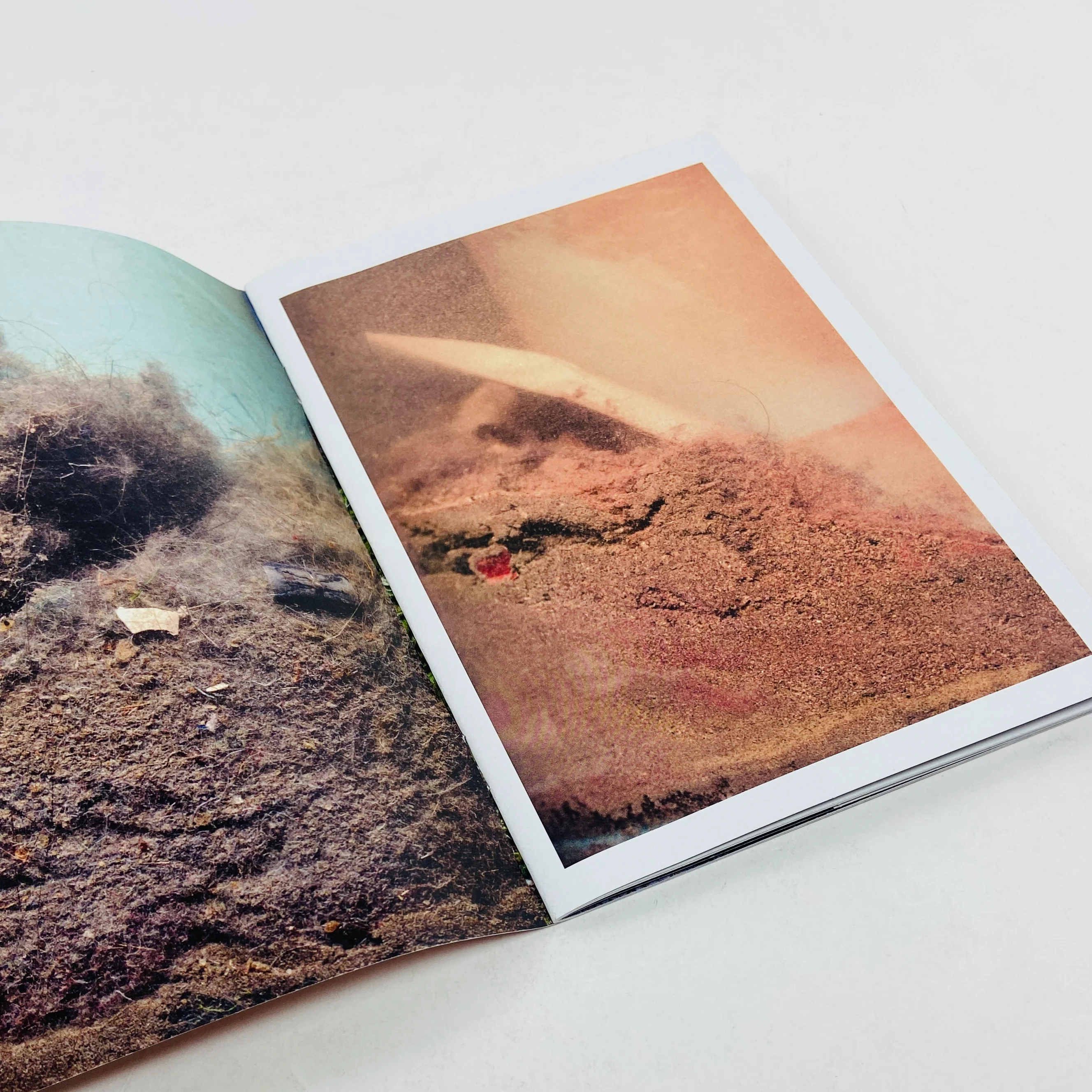 Archaeology of a Carpet - Stephen McCoy (Signed Copy) - Image 3