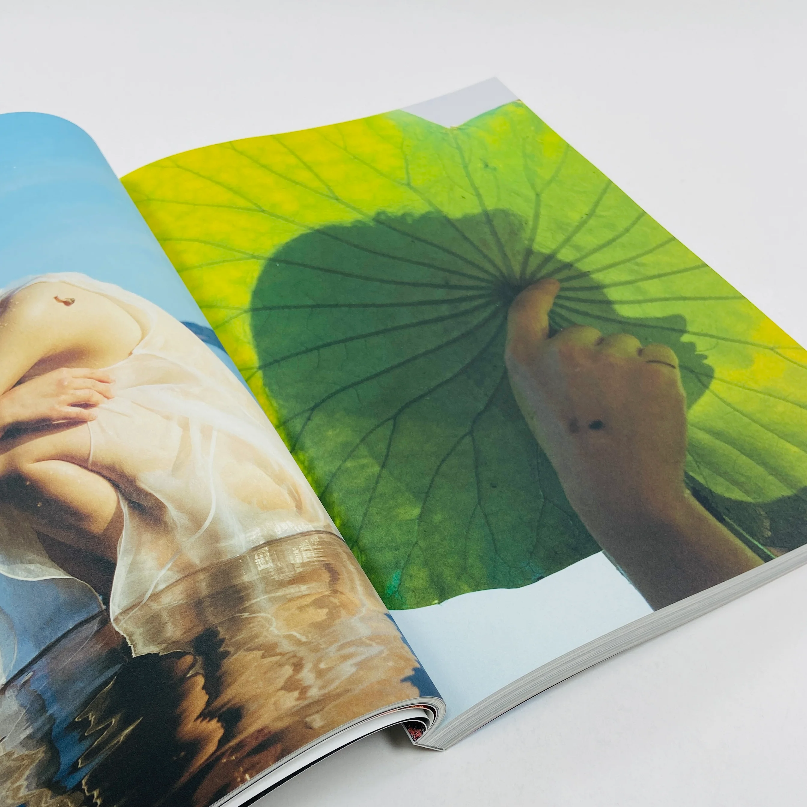 Atmos #12 - Pollinate - Image 10