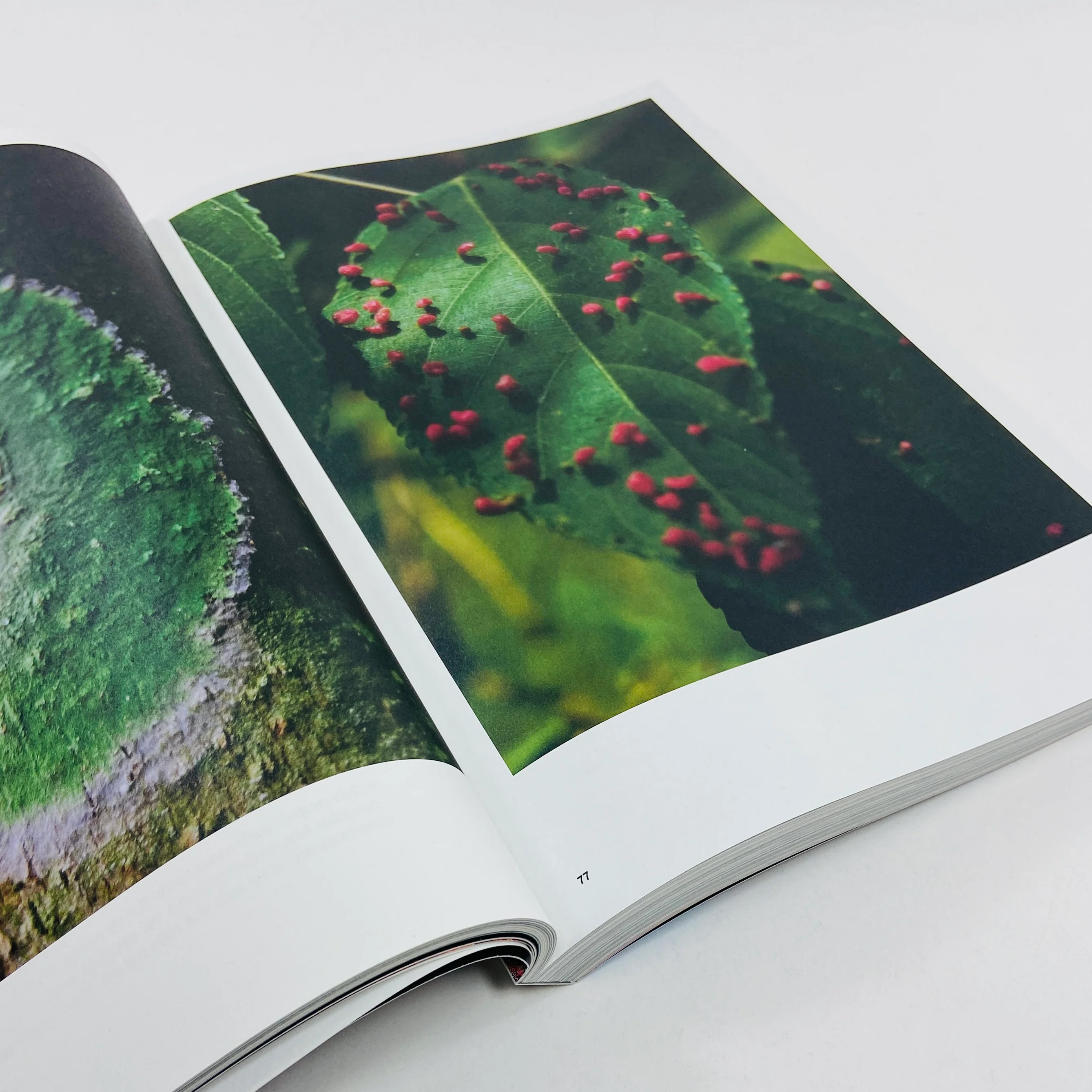 Atmos #12 - Pollinate - Image 11