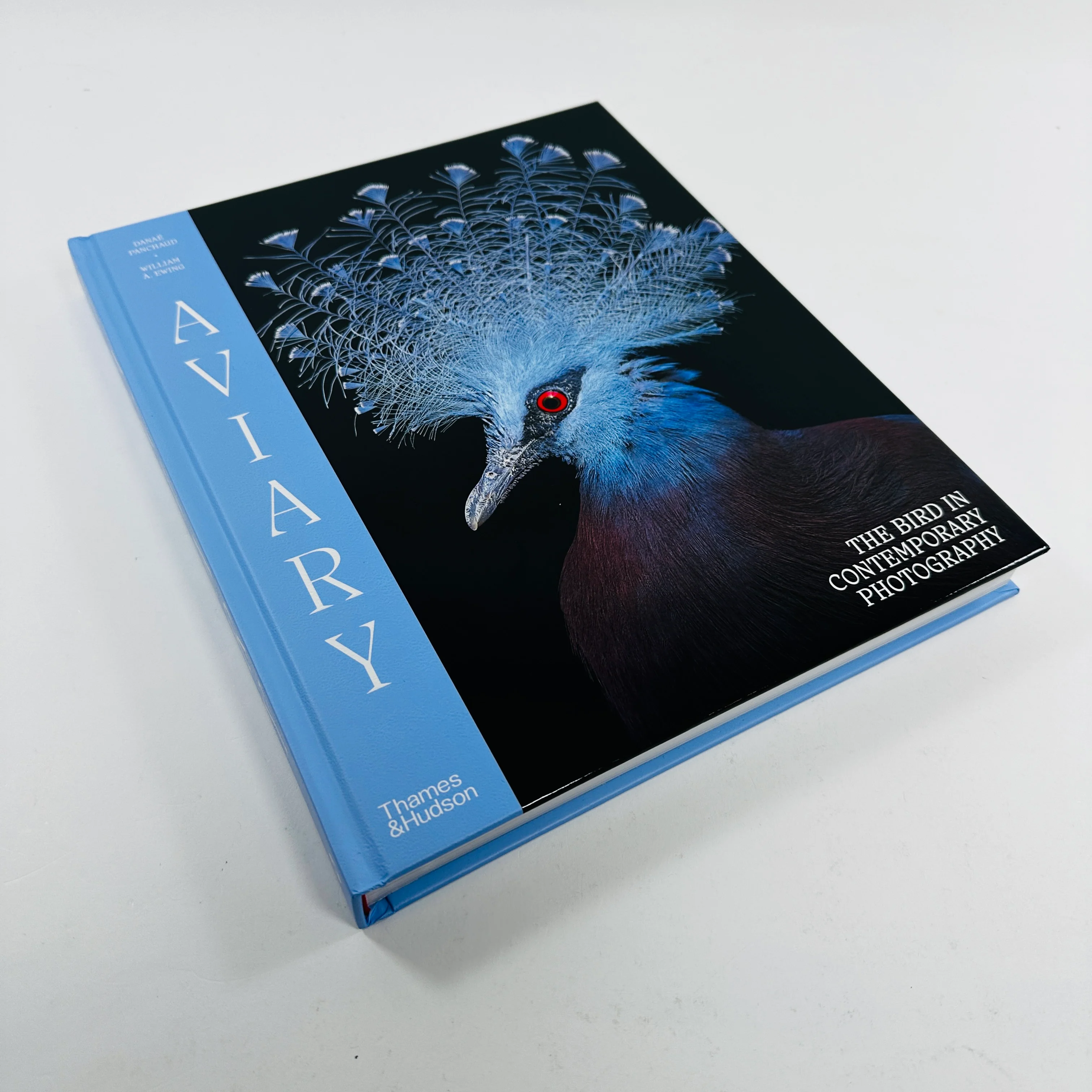 Aviary - The Bird in Contemporary Photography - Image 2