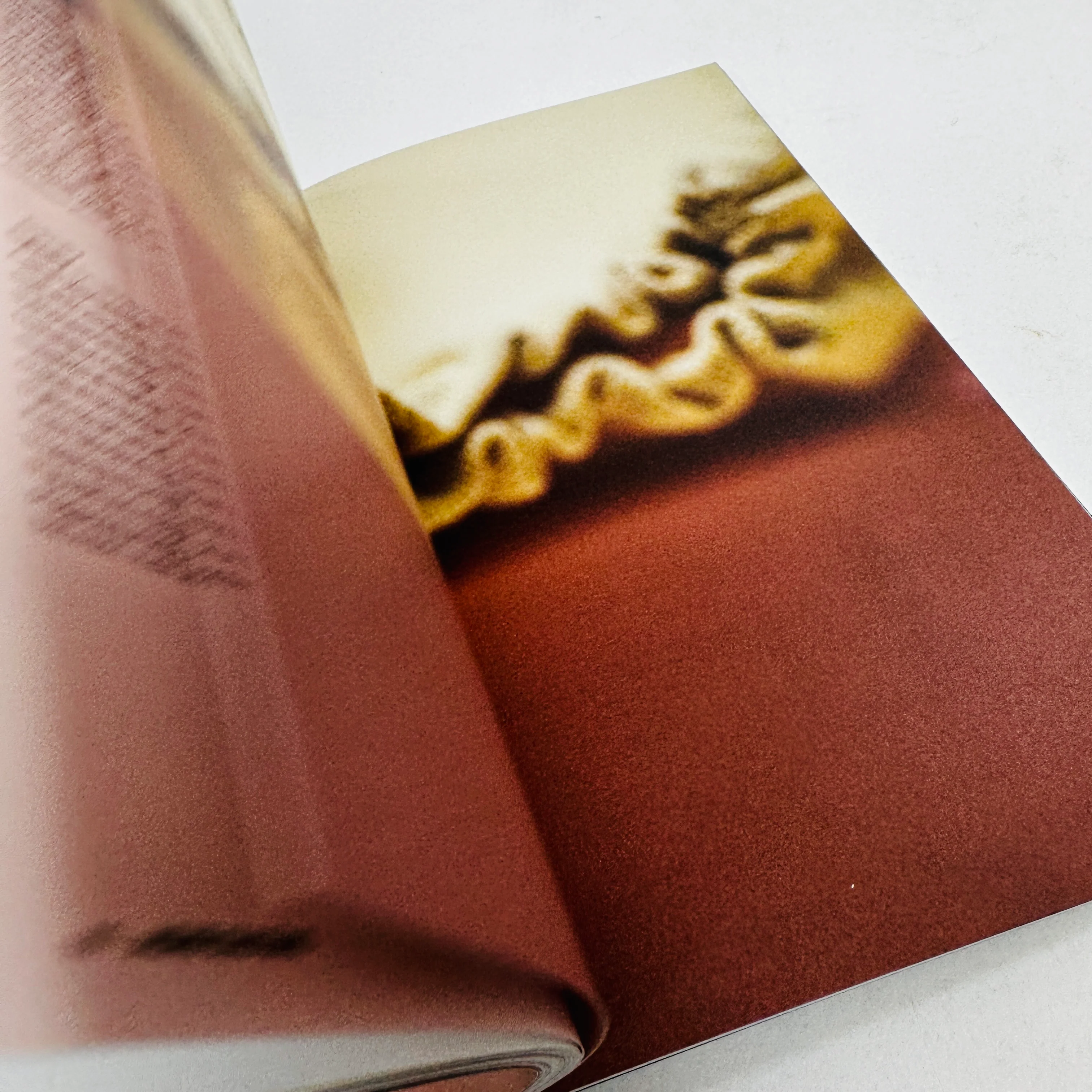 B Magazine  #61 - Acne Studios - Image 4