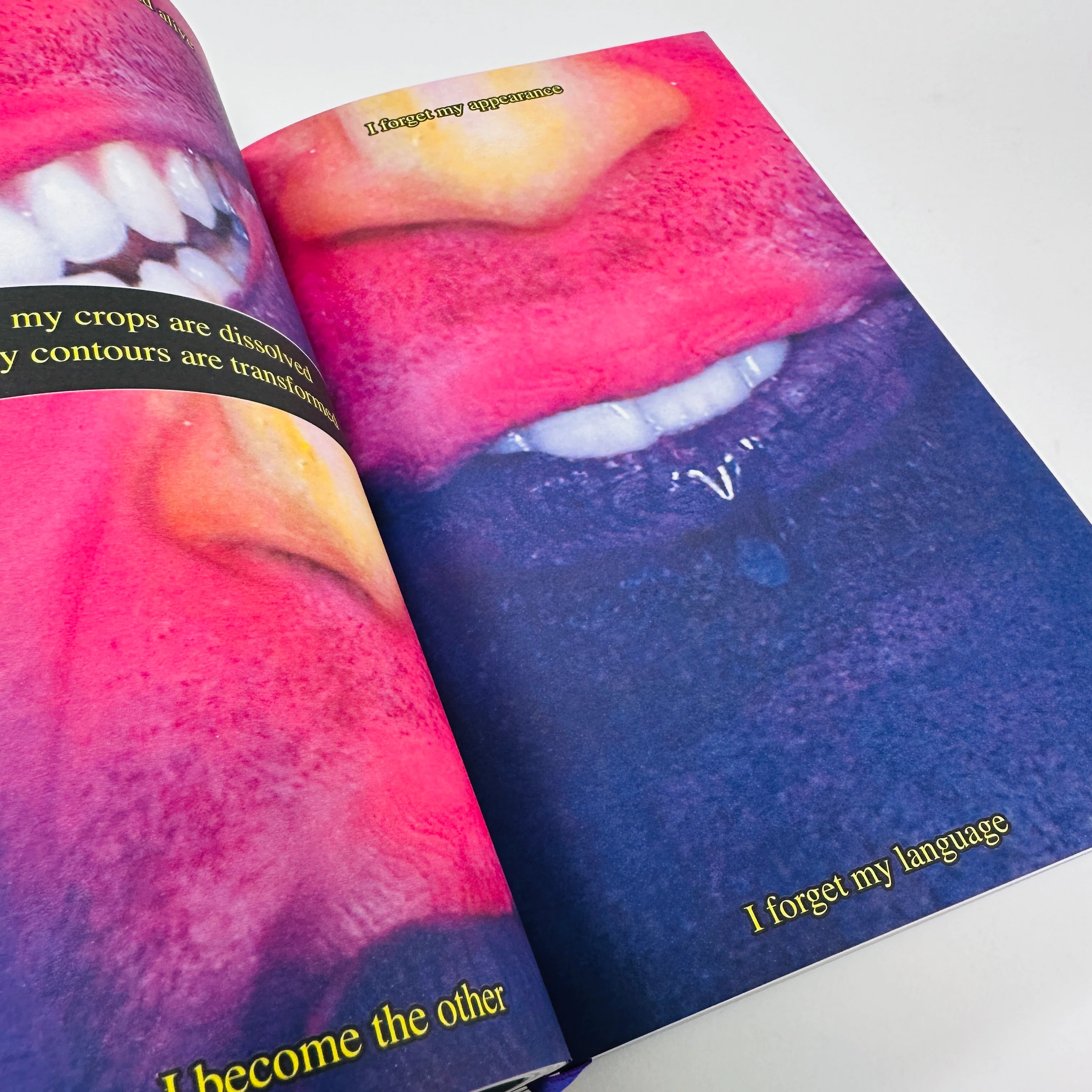 Bebe #1 - Trans Issue - Image 3