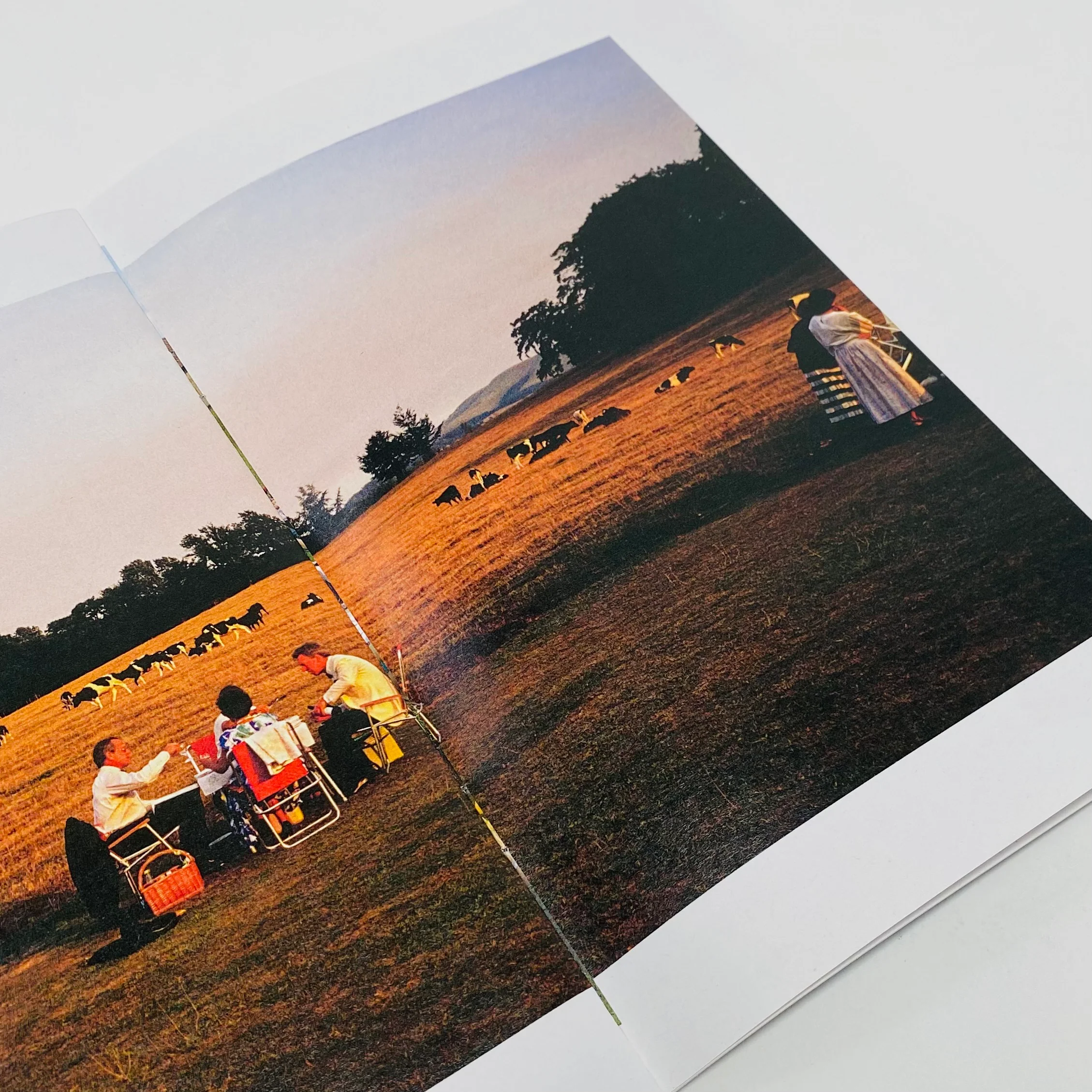 Being British 1975–2005 - Barry Lewis - Image 4