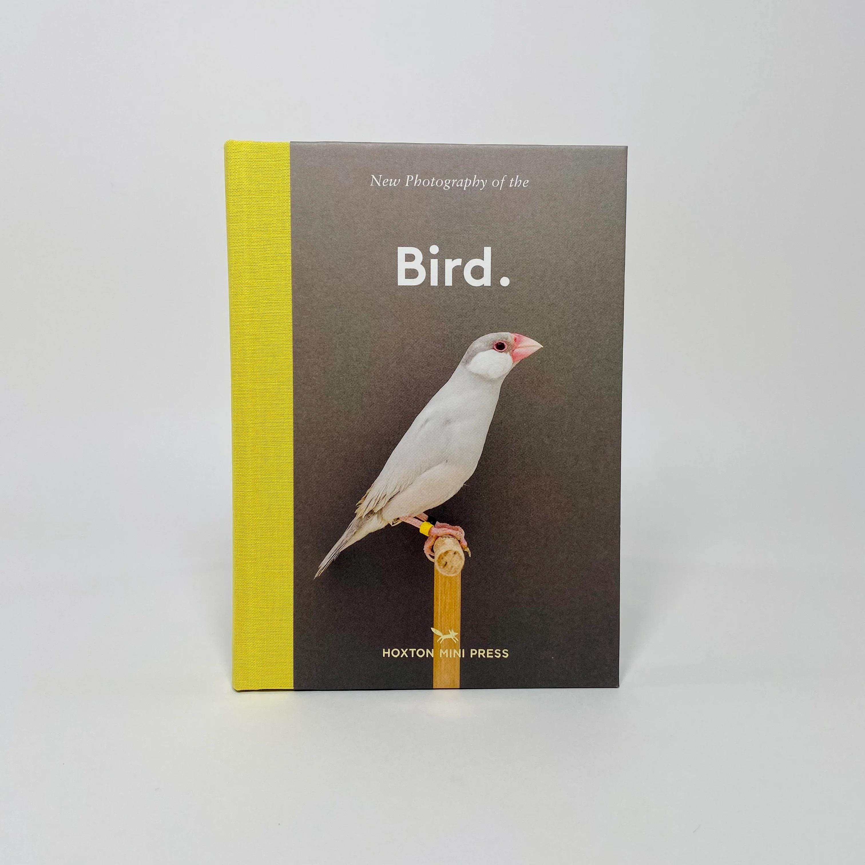 New Photography Of The Bird