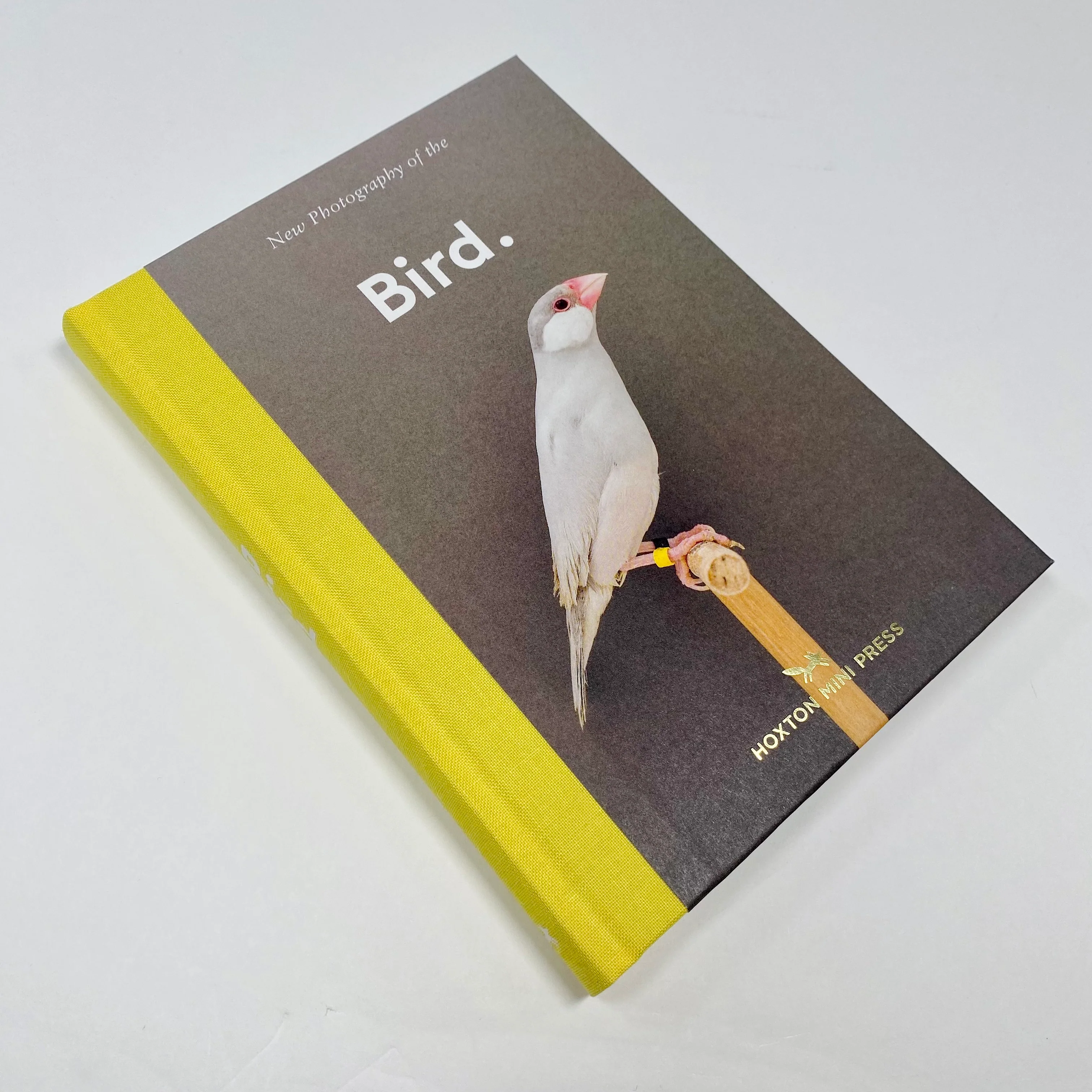 New Photography Of The Bird - Image 2