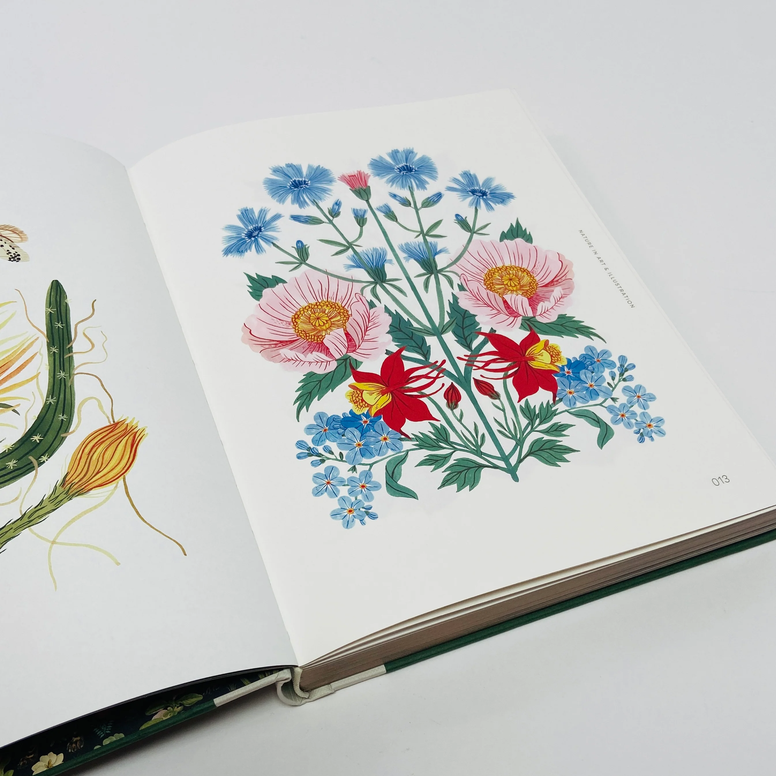 Botanical Inspiration - Nature In Art and Illustration - Image 4