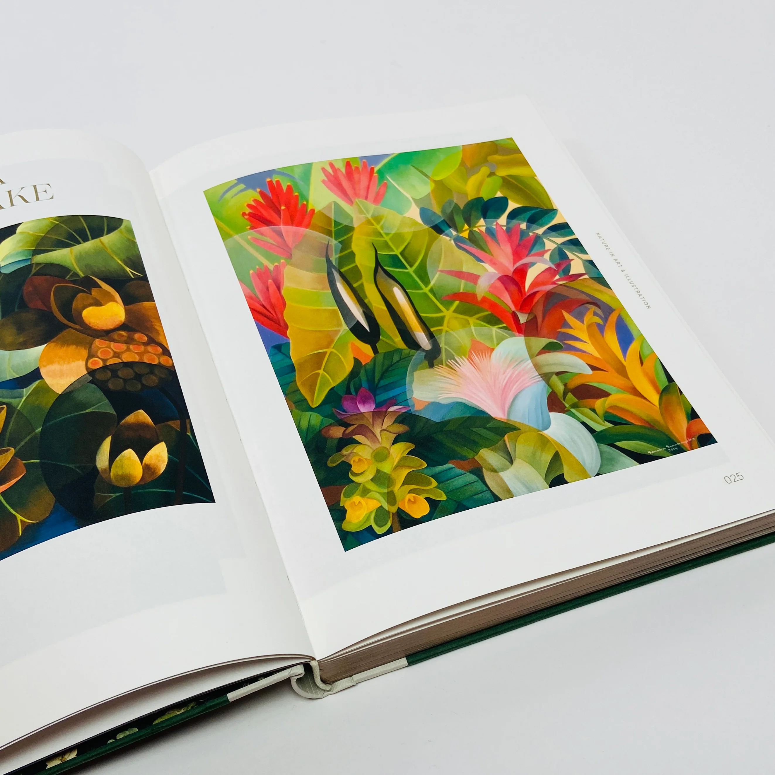 Botanical Inspiration - Nature In Art and Illustration - Image 6