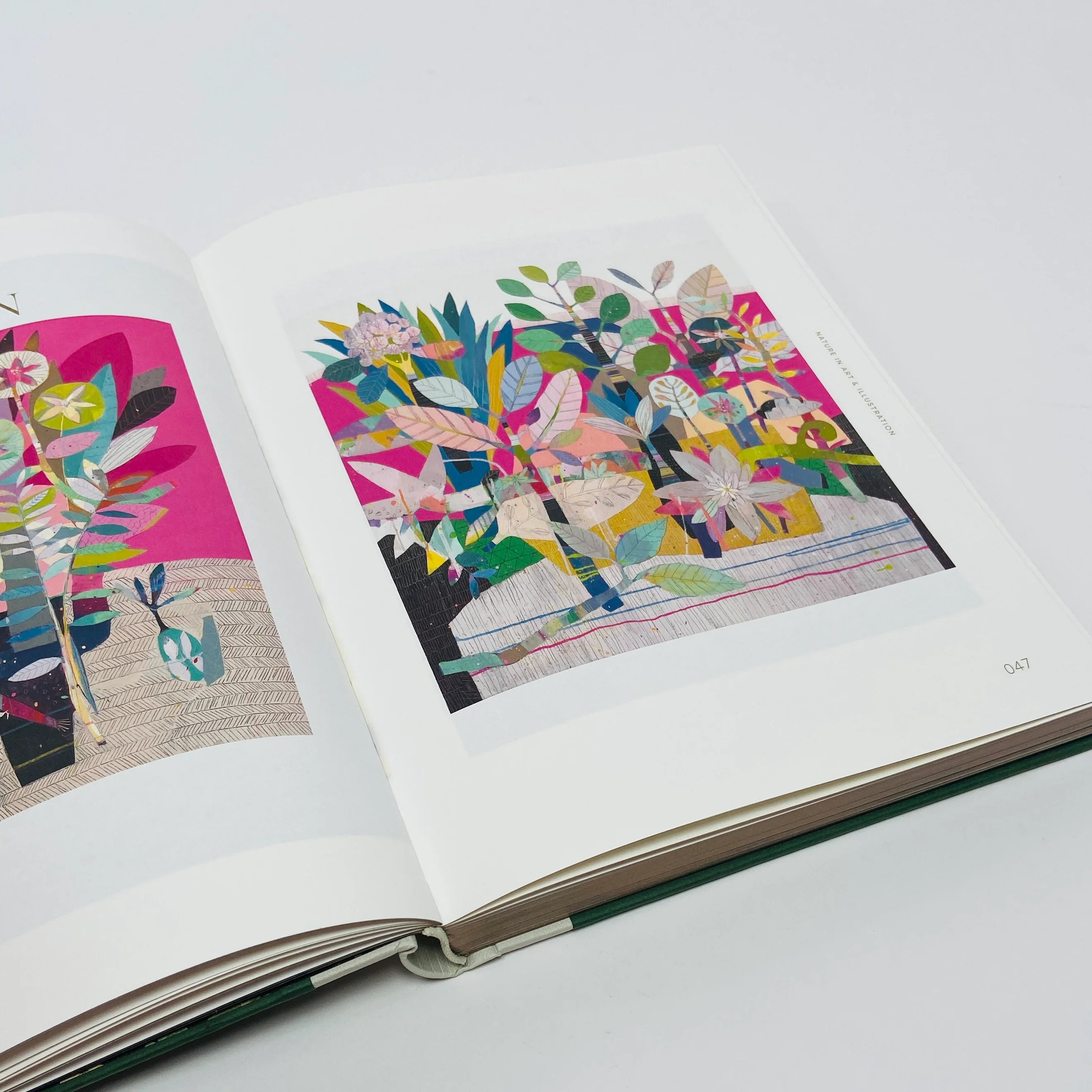 Botanical Inspiration - Nature In Art and Illustration - Image 8