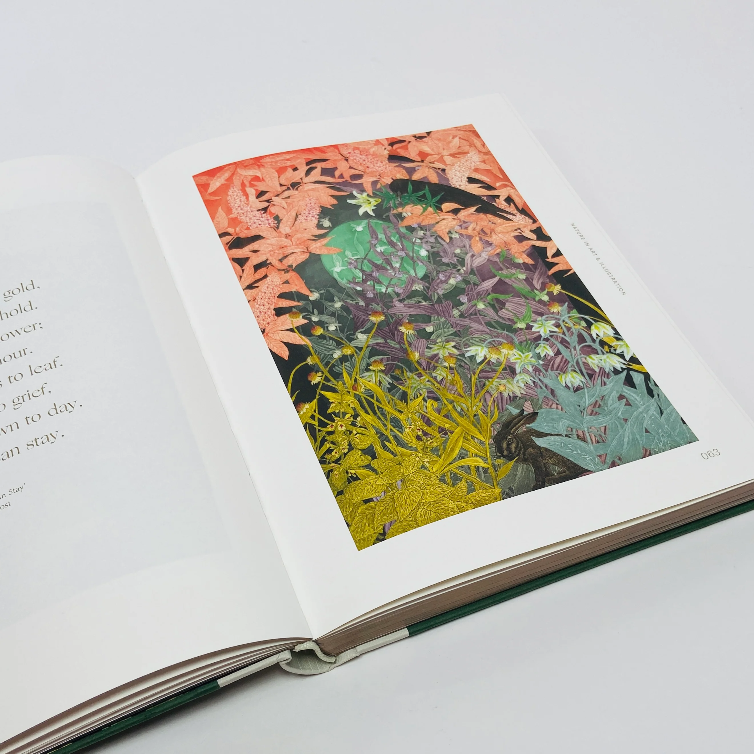 Botanical Inspiration - Nature In Art and Illustration - Image 9