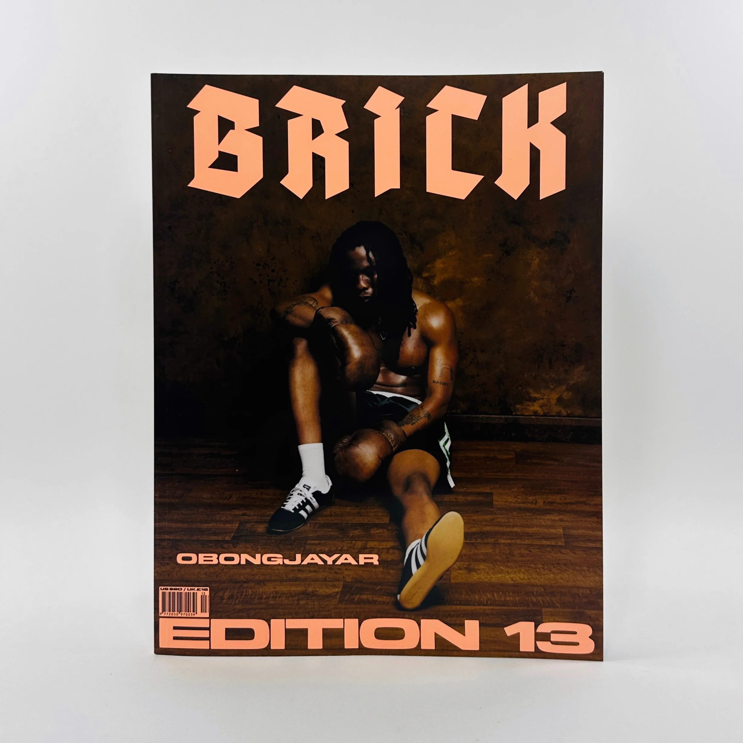 Brick #13 - Image 3