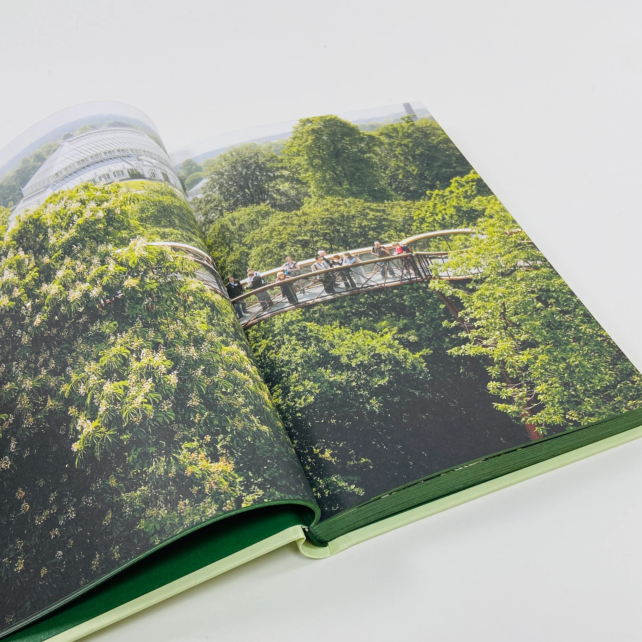 Britain's Best Gardens - Image 6