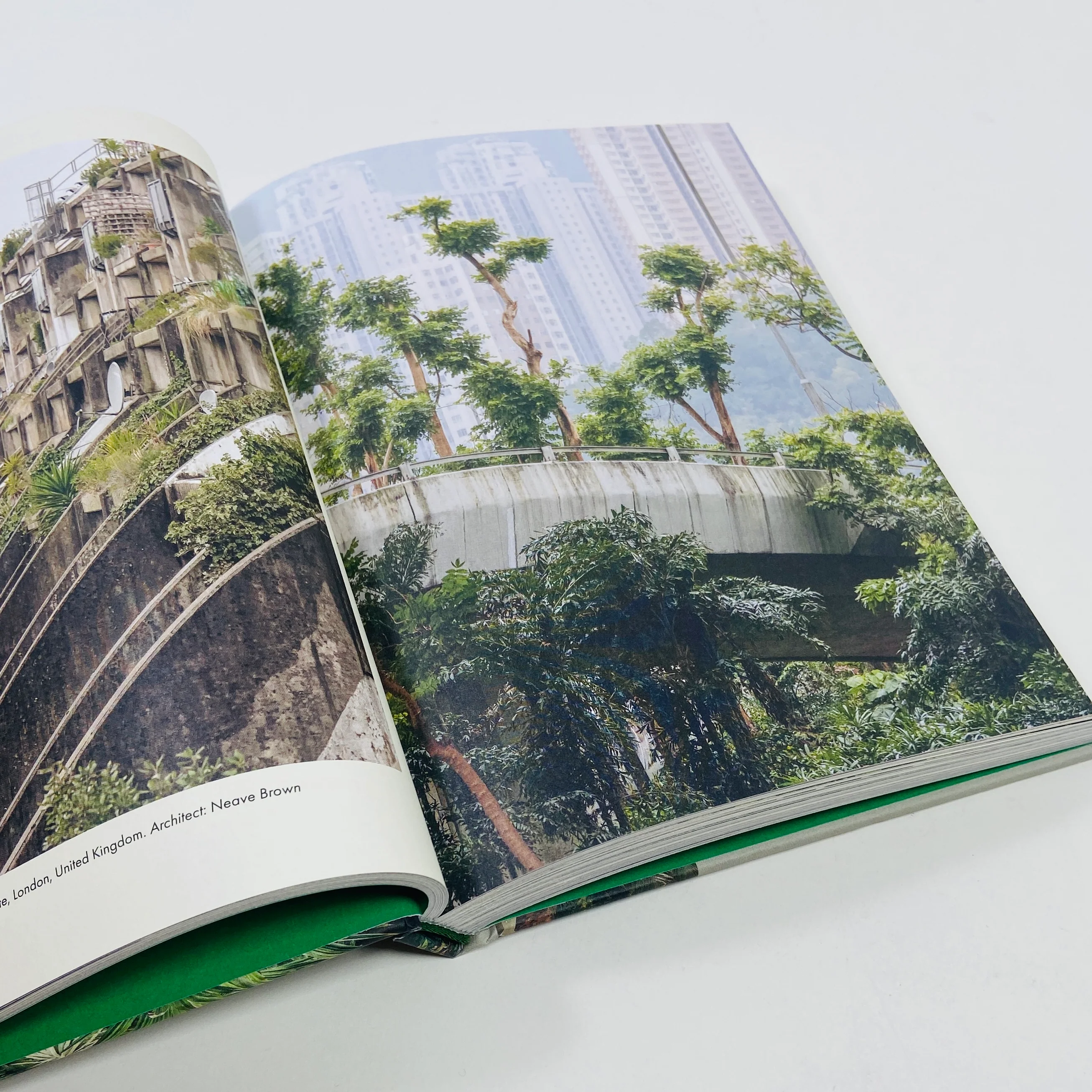 Brutalist Plants - Image 5