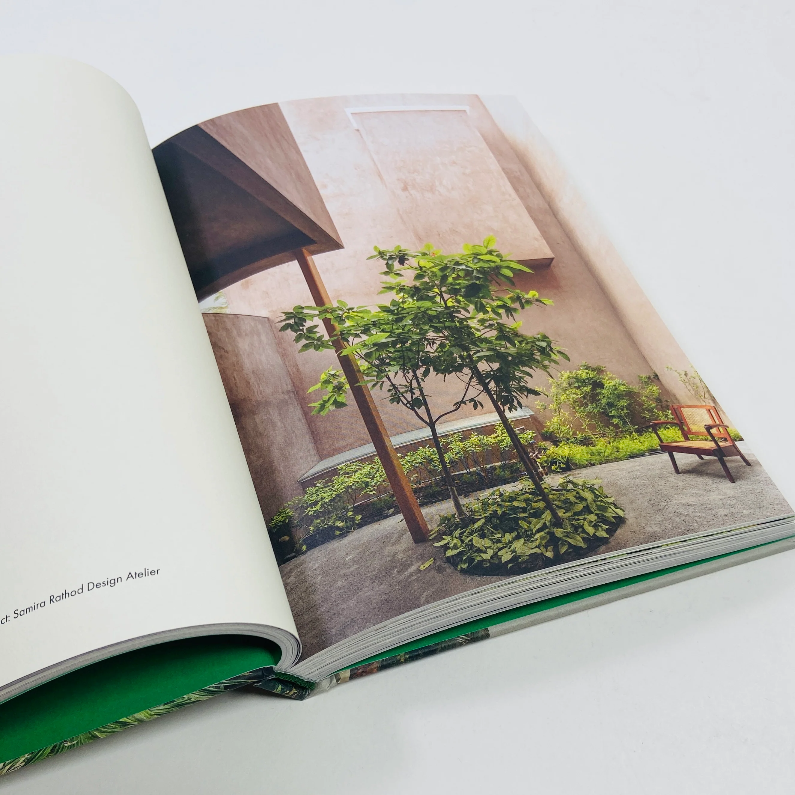 Brutalist Plants - Image 7