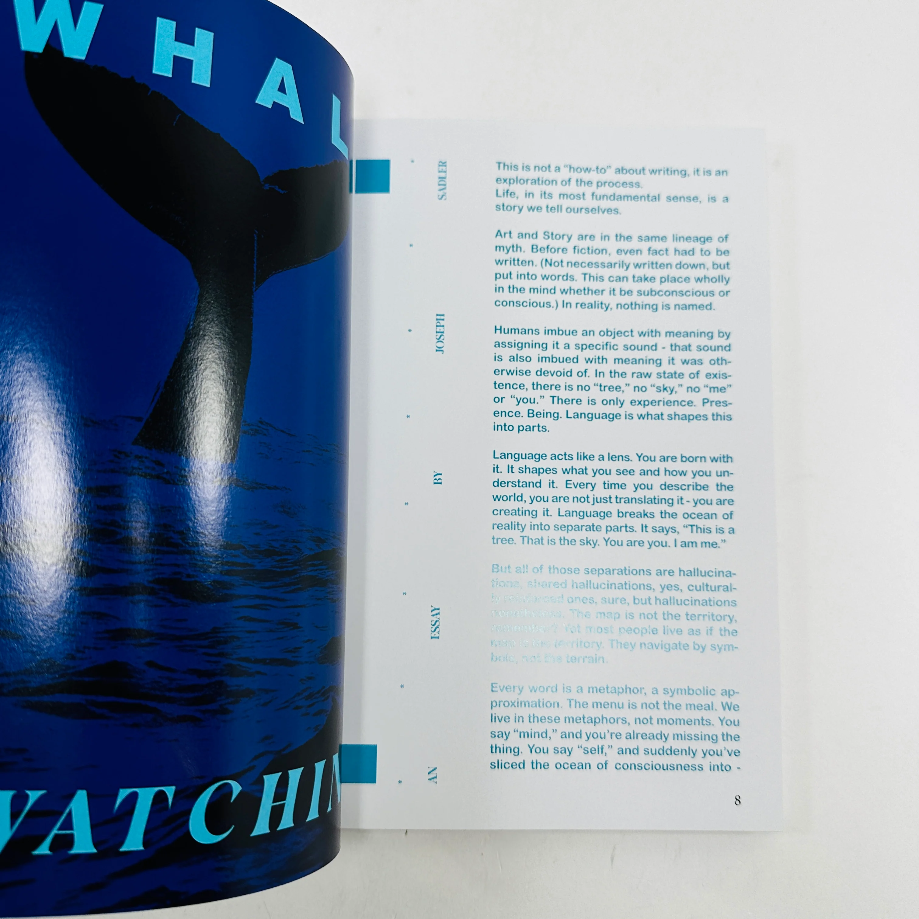 BUTU Mag #2 - Process - Image 3