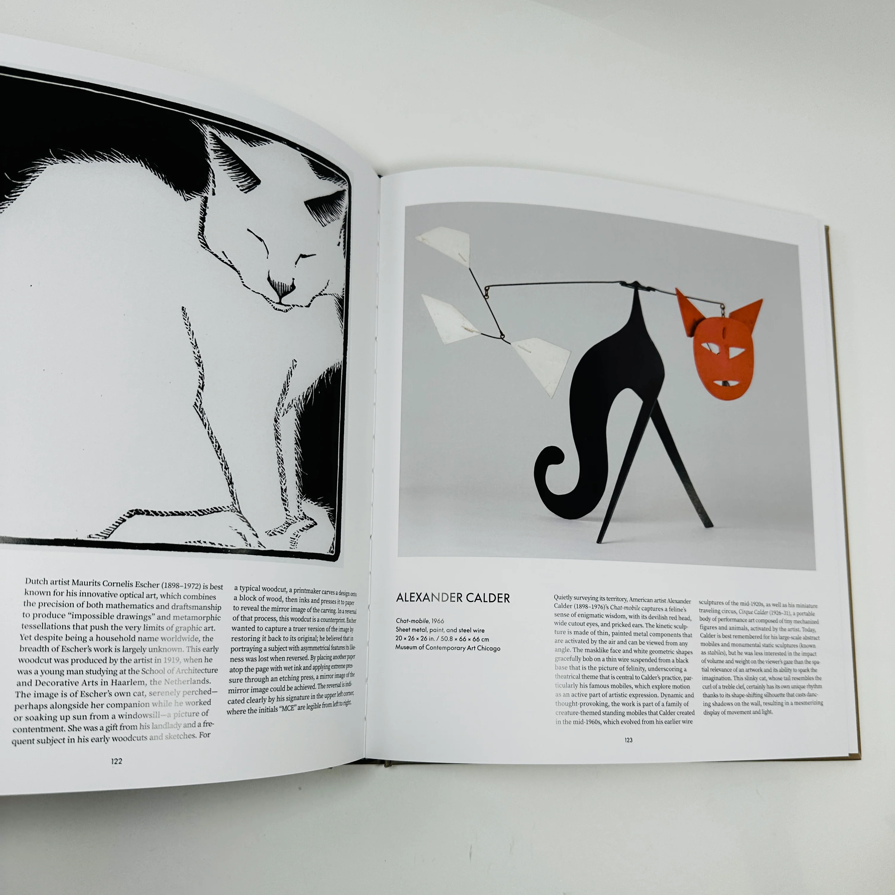 Cat - Image 3
