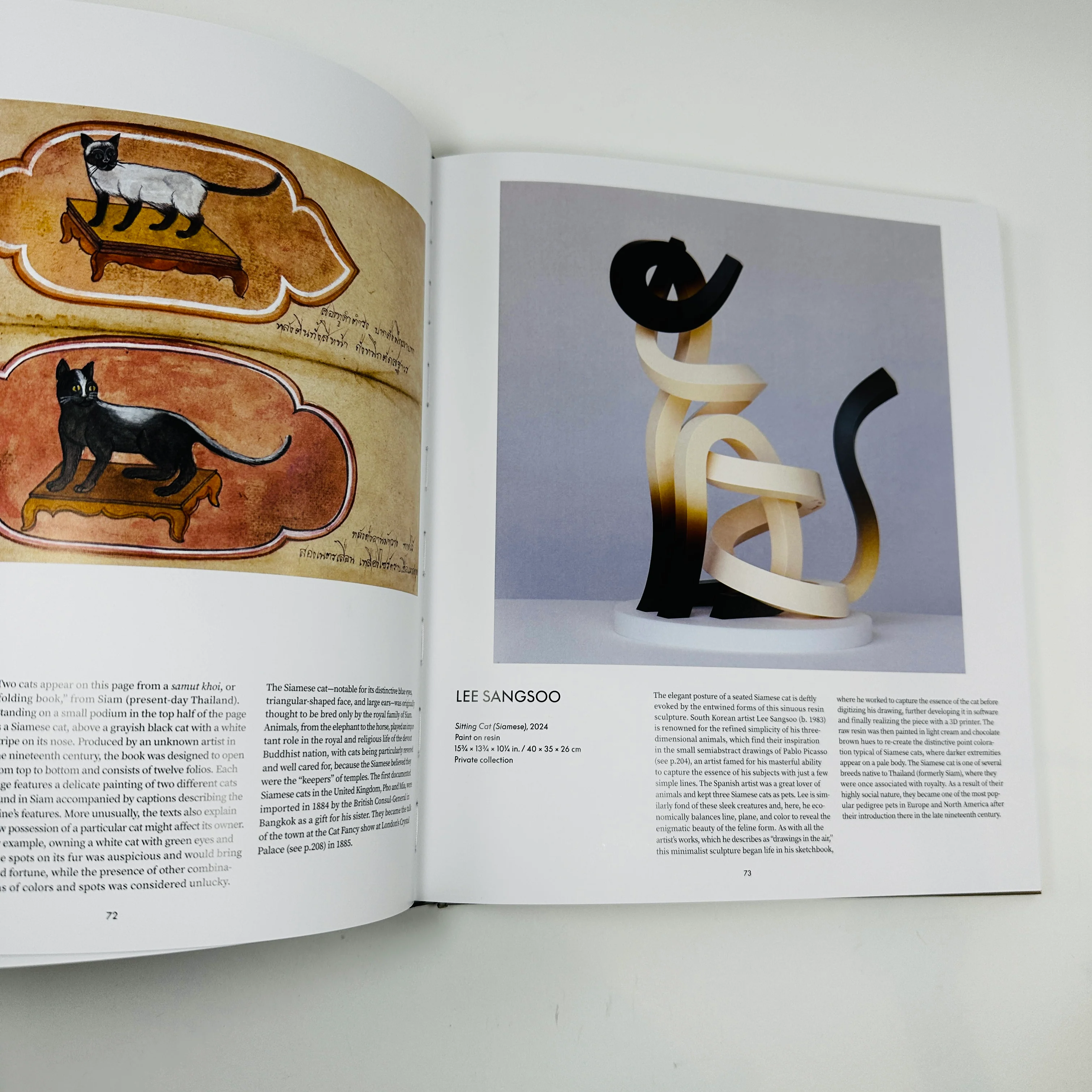 Cat - Image 4