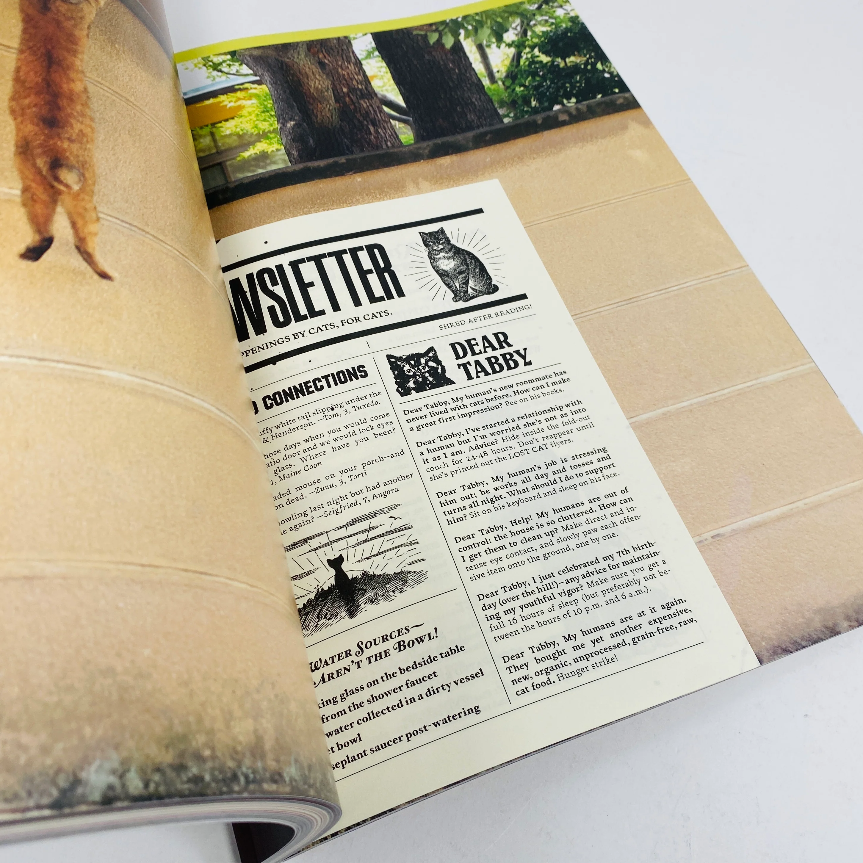 Catnip #1 - A Magazine For Cat People - Image 4