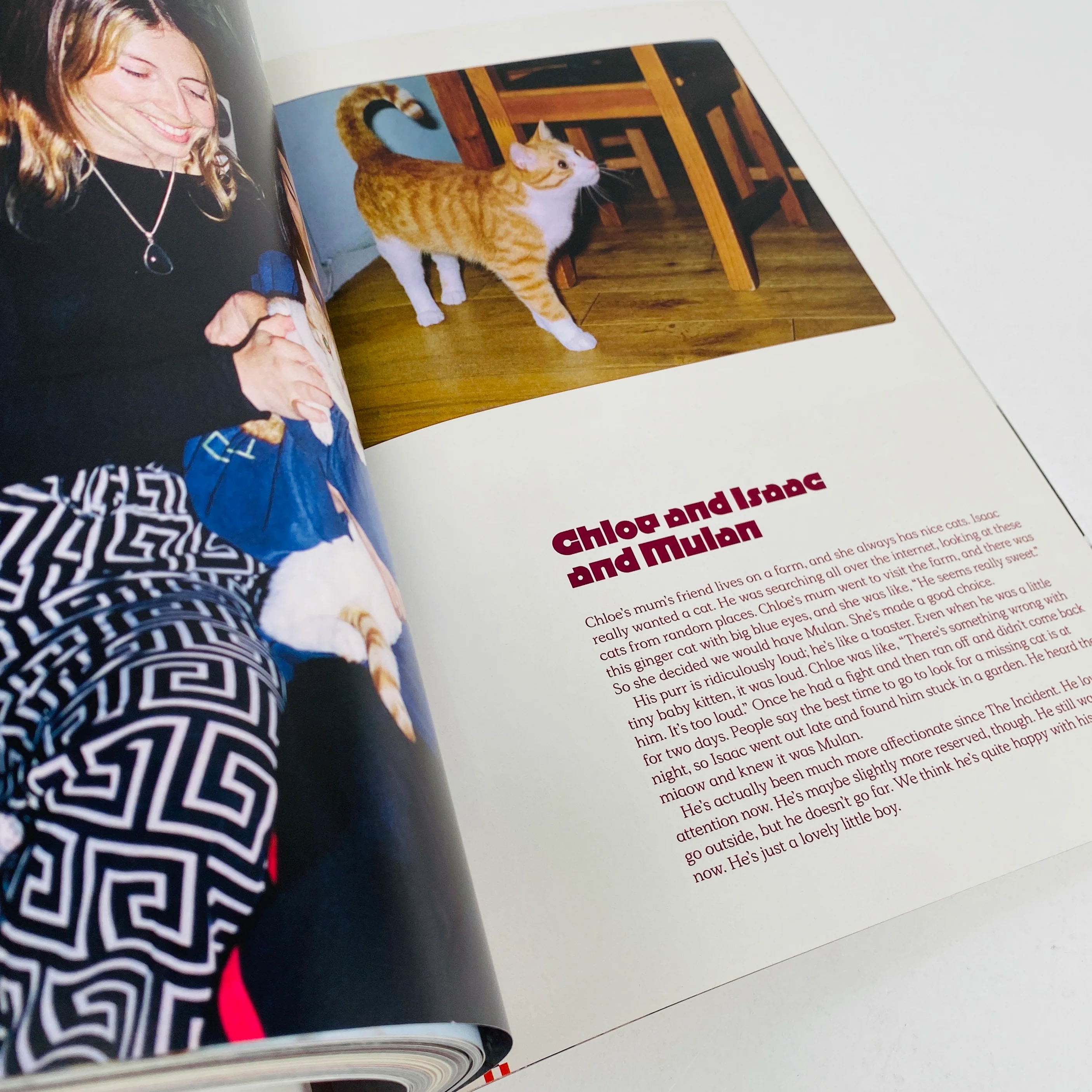 Catnip #1 - A Magazine For Cat People - Image 5