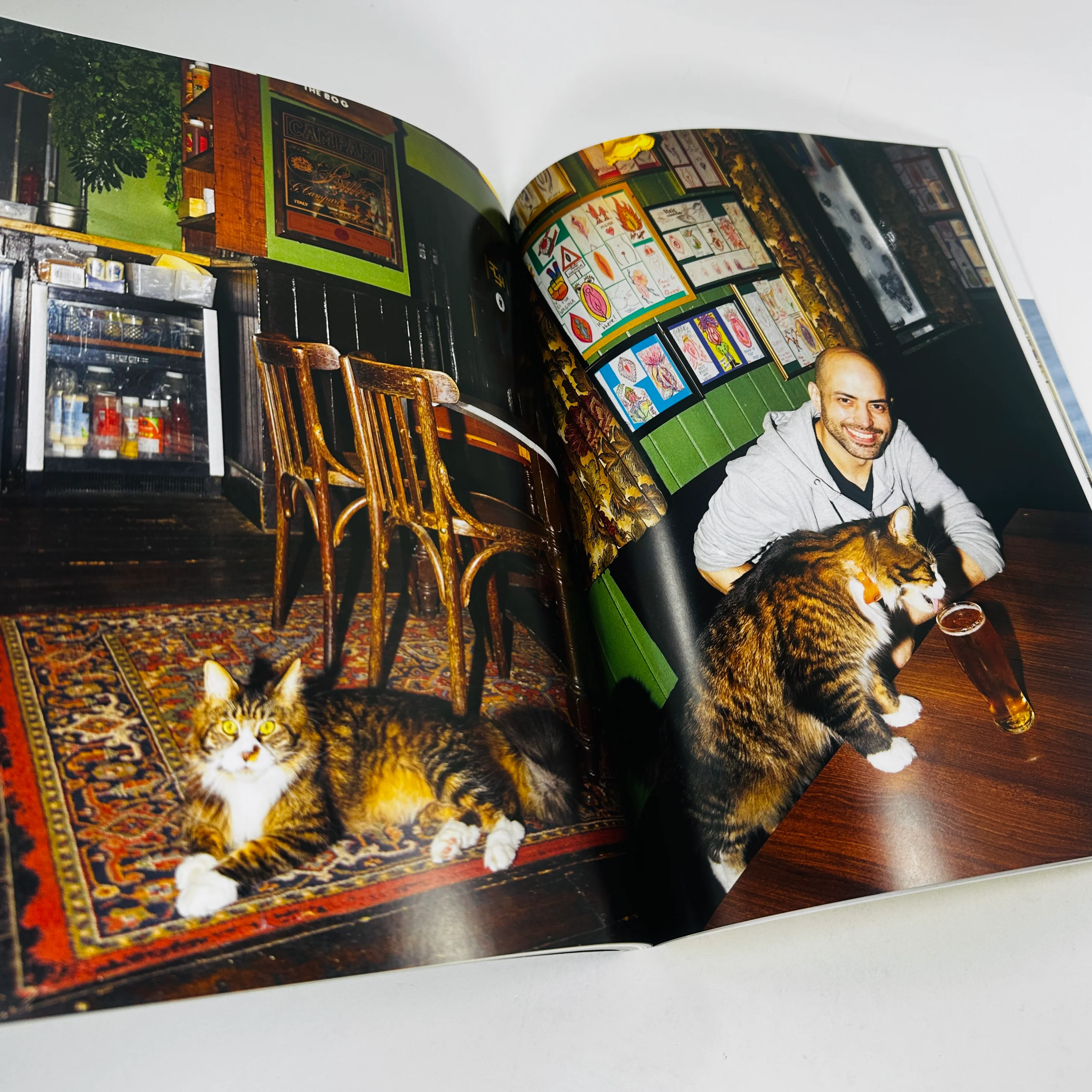 Catnip #2 - A Magazine For Cat People - Image 3