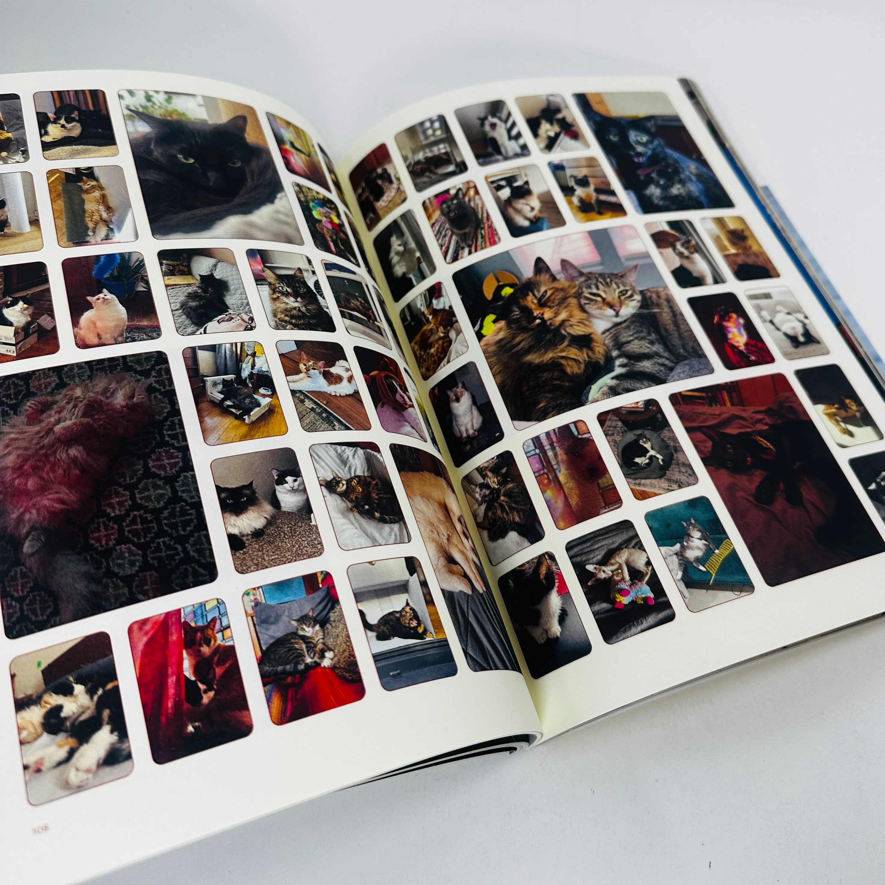 Catnip #2 - A Magazine For Cat People - Image 4