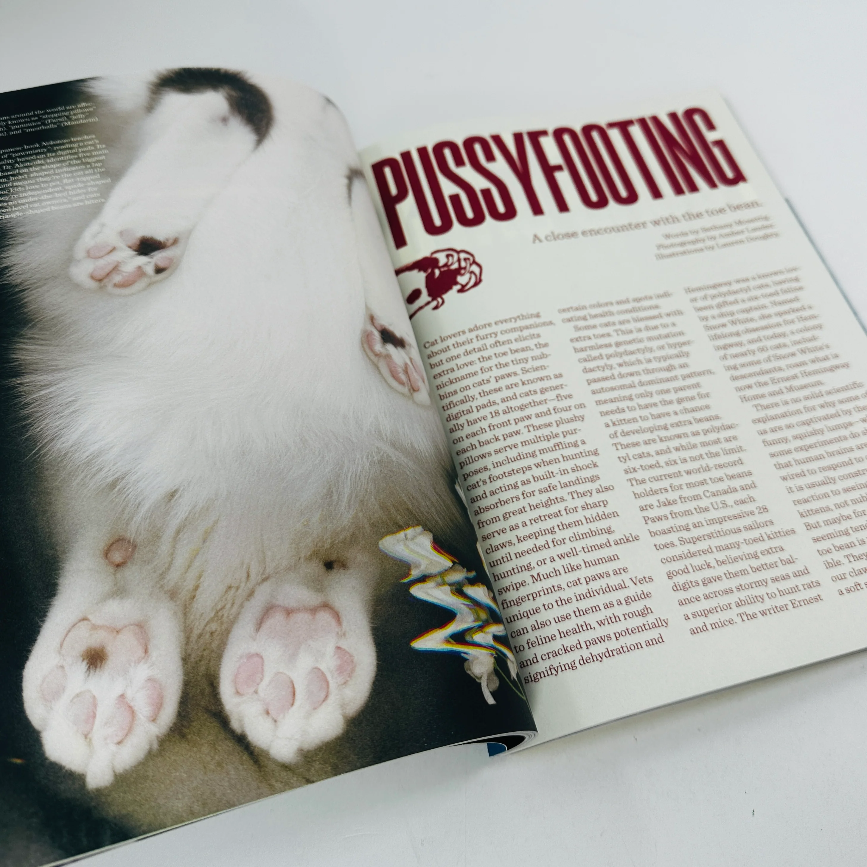 Catnip #2 - A Magazine For Cat People - Image 5