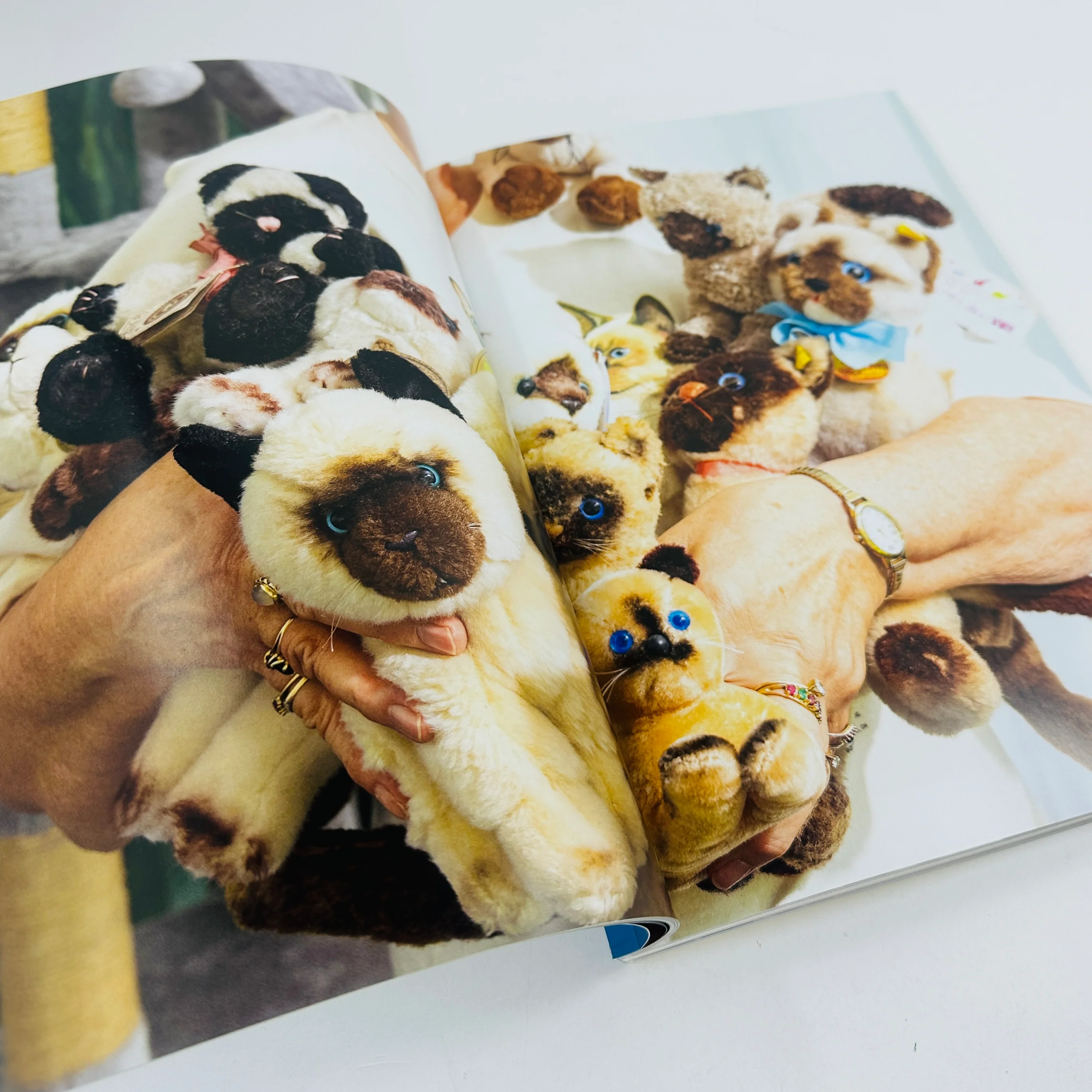 Catnip #2 - A Magazine For Cat People - Image 6