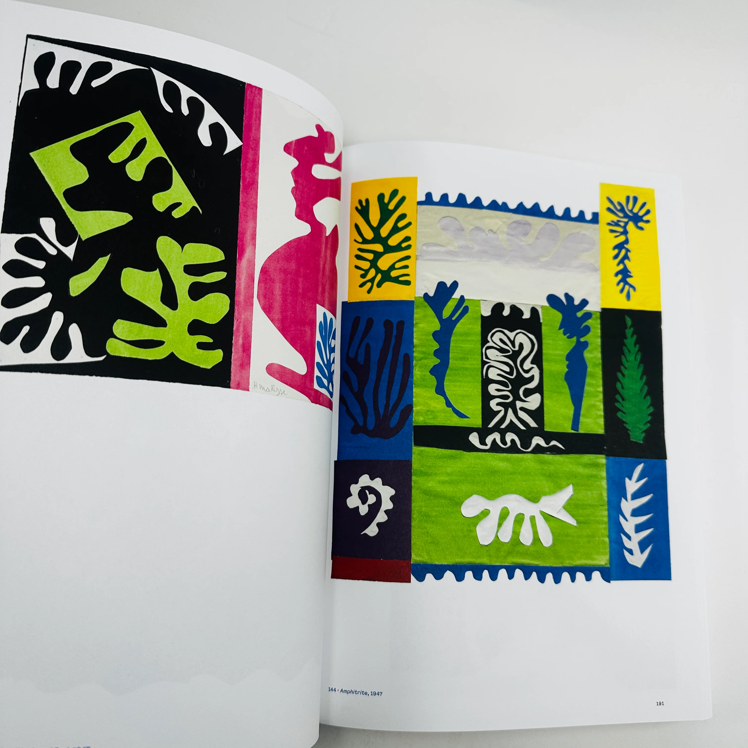 Colour Unbound - Henri Matisse 1941-1954 - Image 5