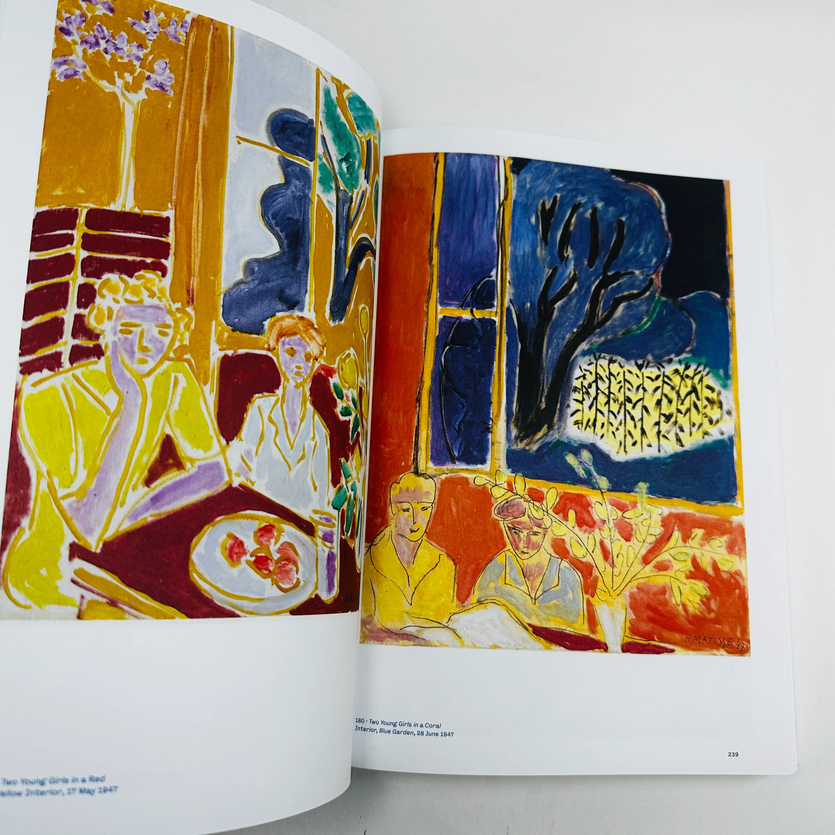 Colour Unbound - Henri Matisse 1941-1954 - Image 6