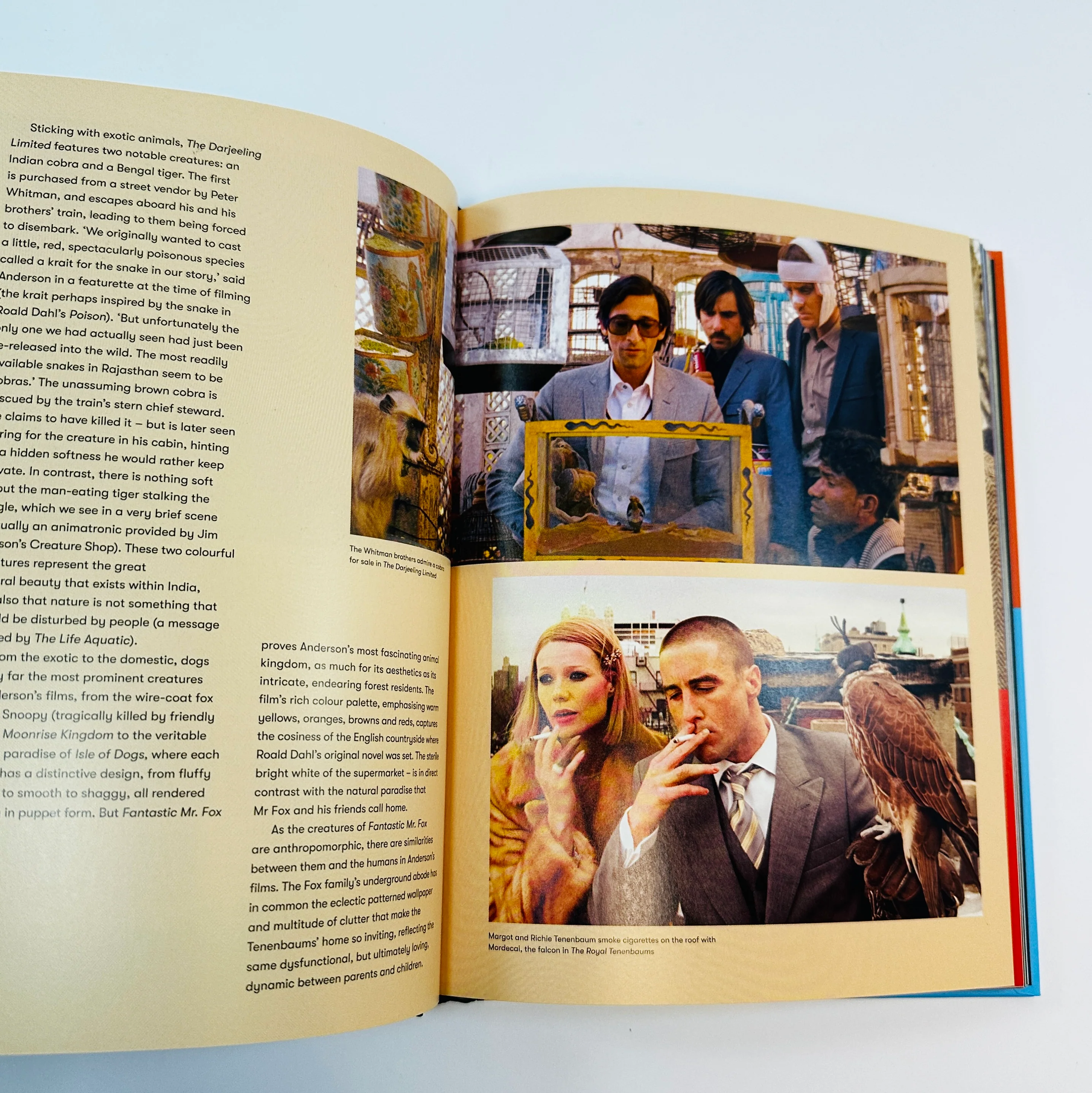 Colours Of Wes Anderson - The Films In Palettes - Image 3