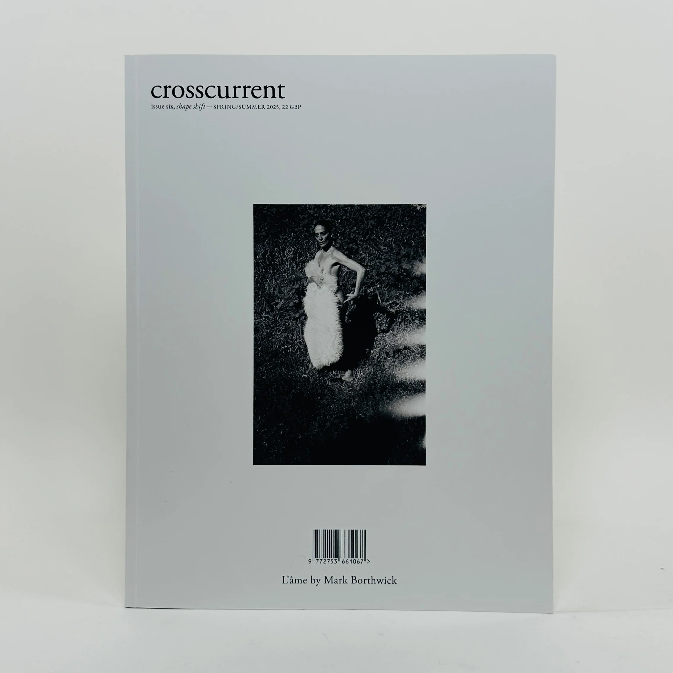Crosscurrent #6 - Image 4