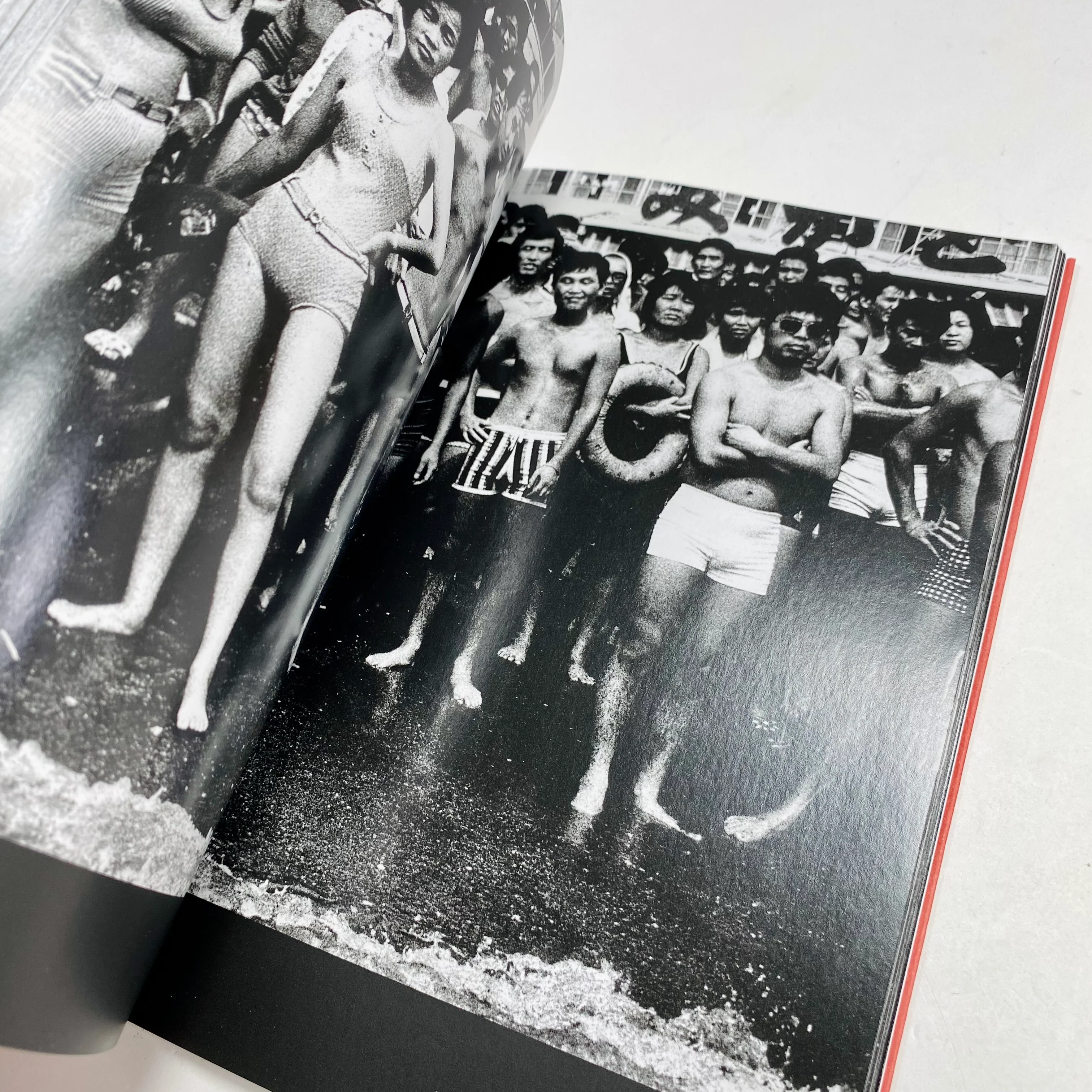 Daido Moriyama Photofile - Image 4
