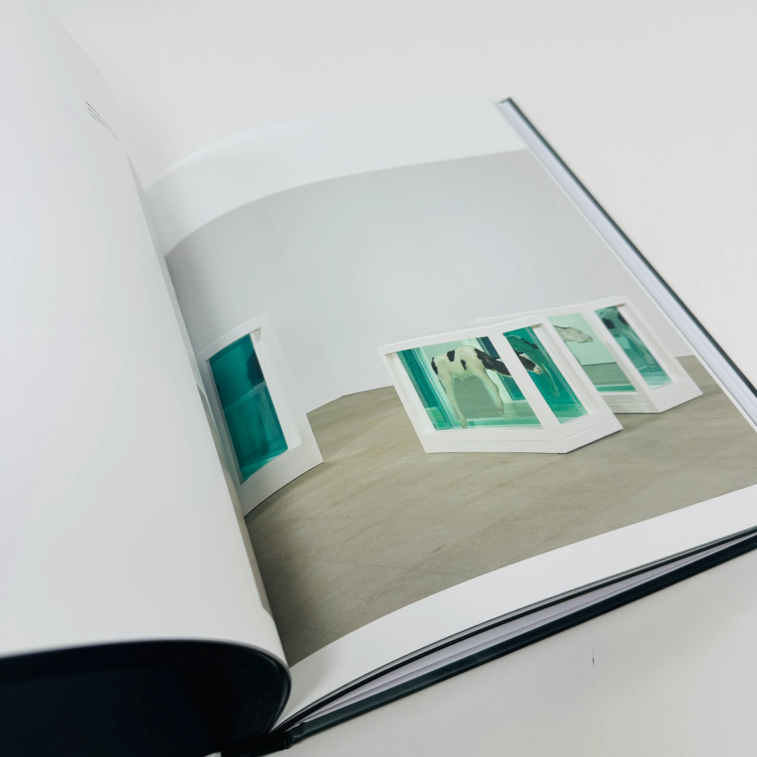 Damien Hirst - To Live Forever (For a While) - Image 5