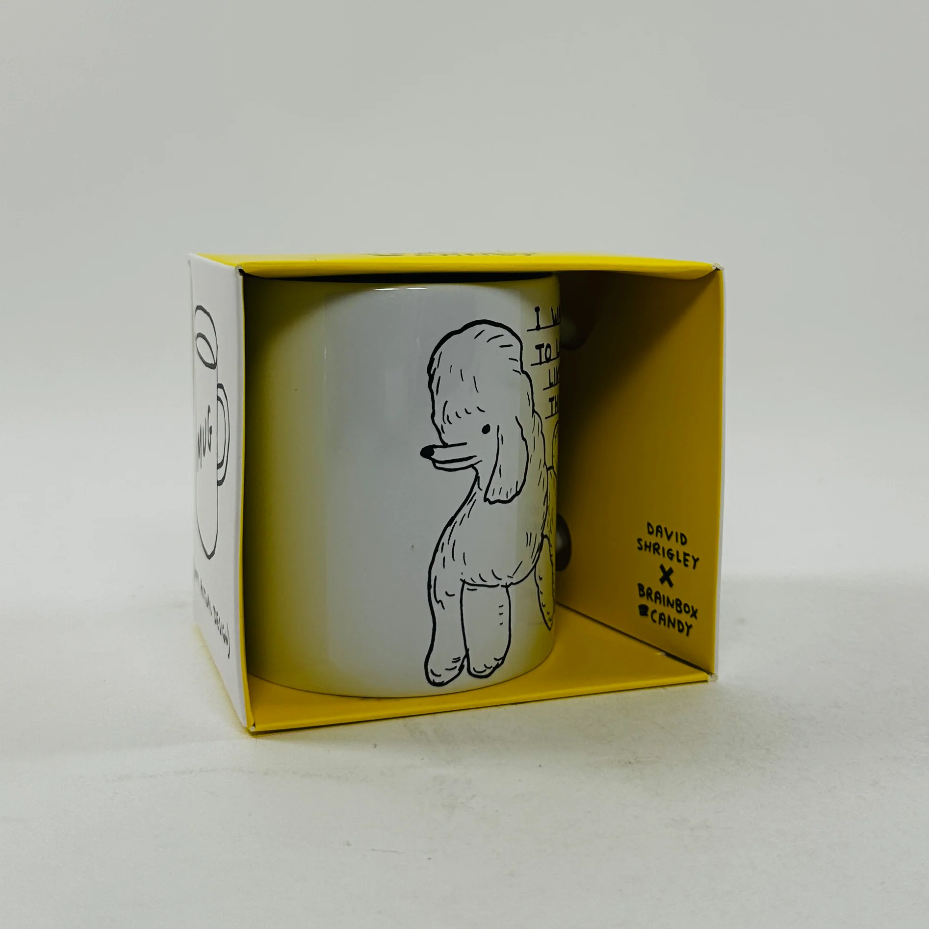 David Shrigley Mug - I Want to Look Like This