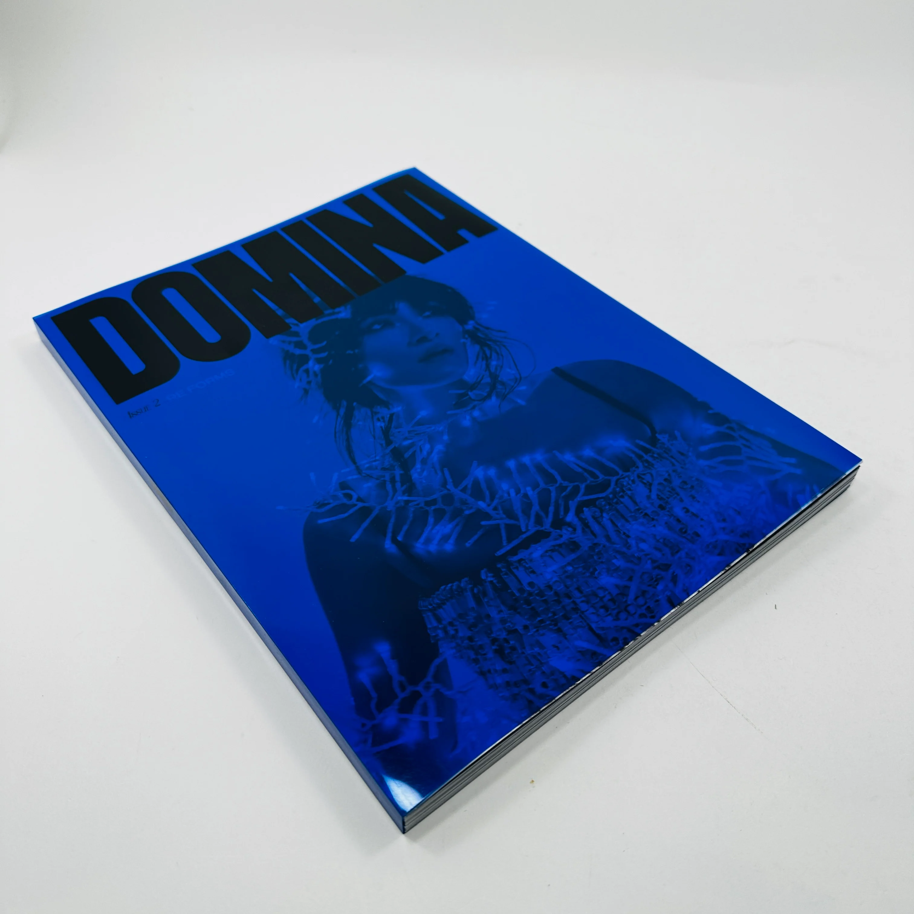 Domina #2 - Image 2