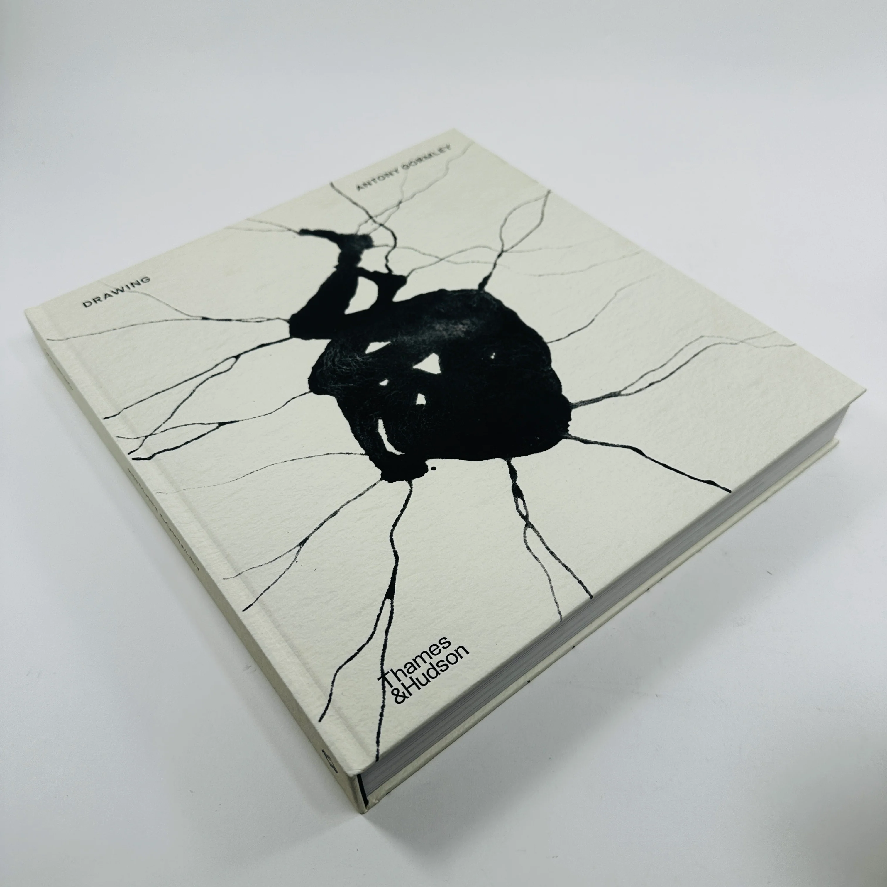 Drawing - Antony Gormley - Image 2