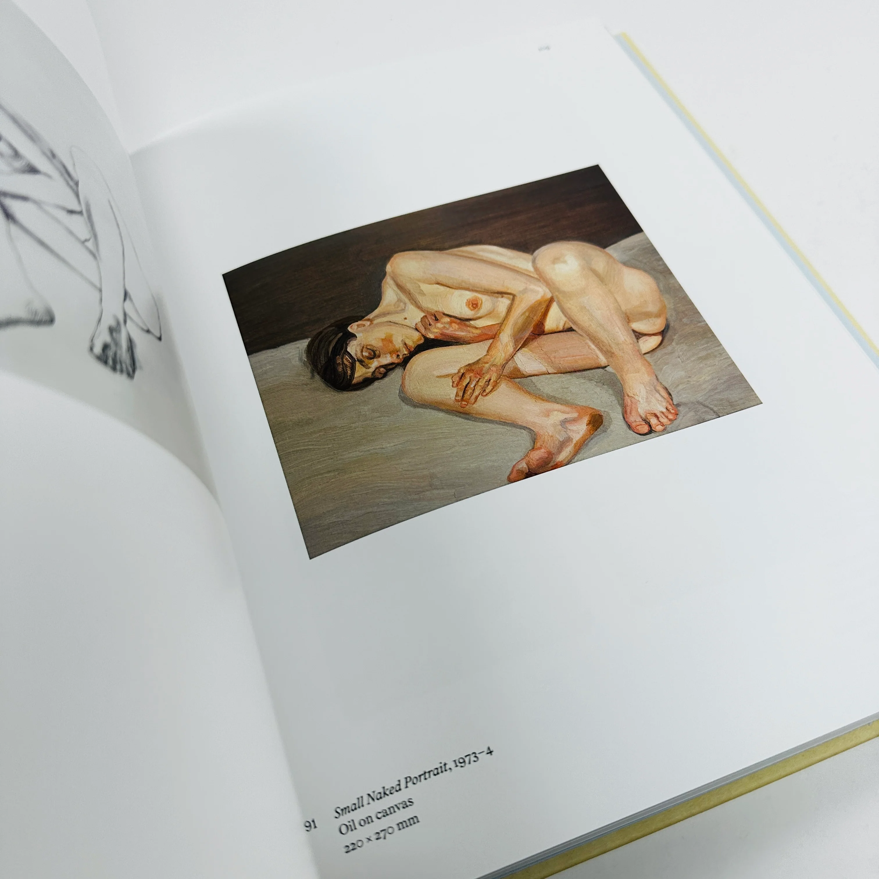Drawing into Painting - Lucian Freud - Image 5