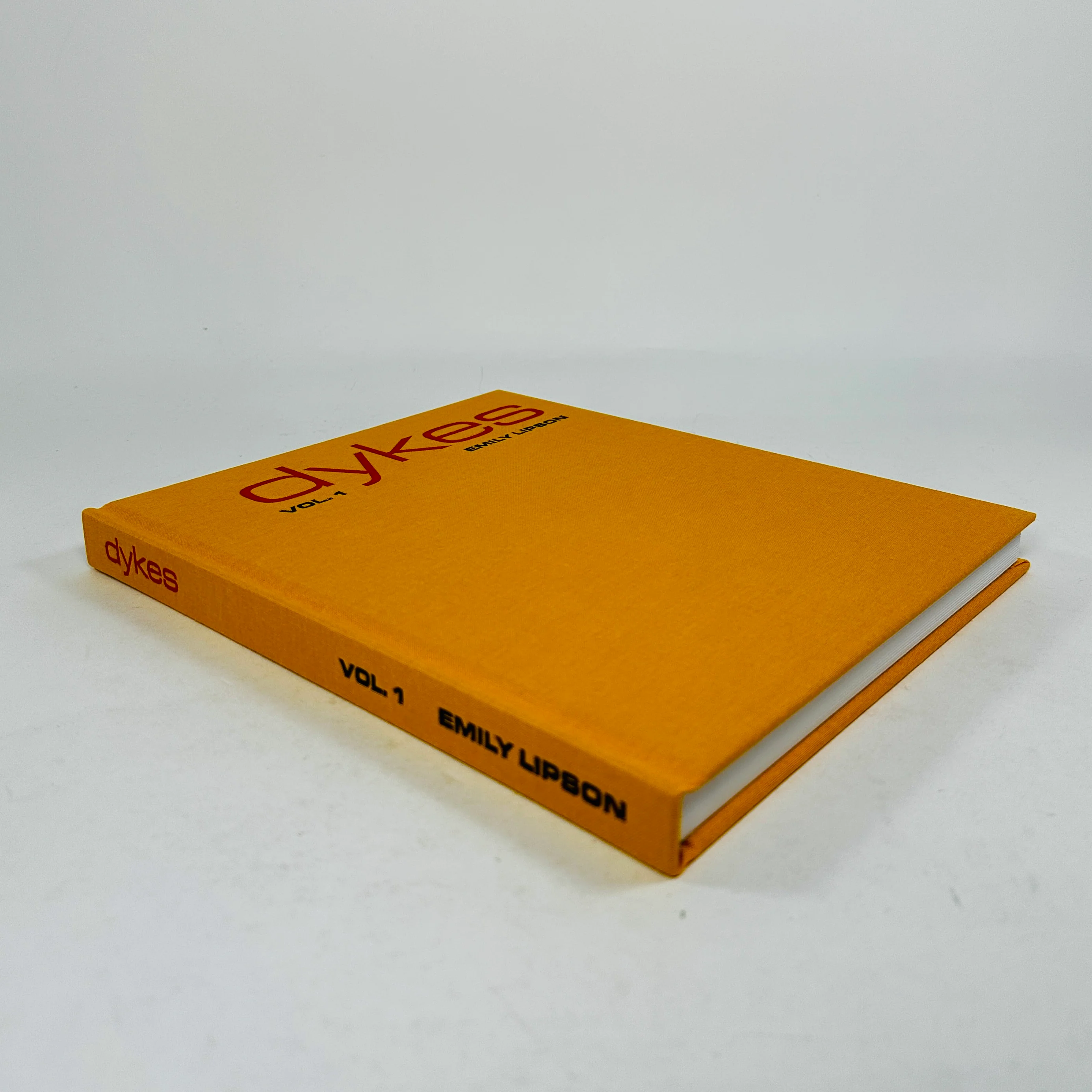 Dykes - Emily Lipson - Image 2