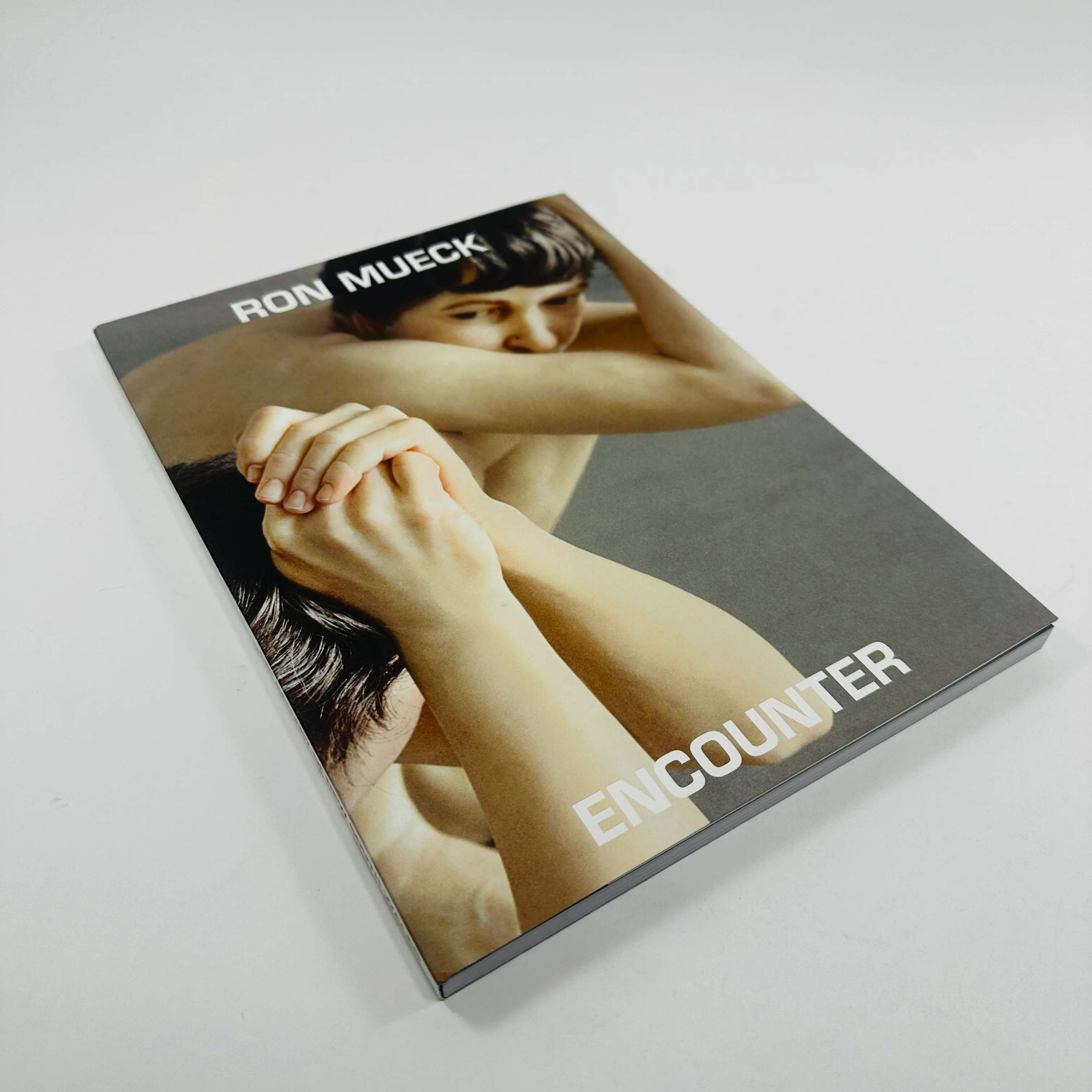 Encounter - Ron Mueck - Image 2