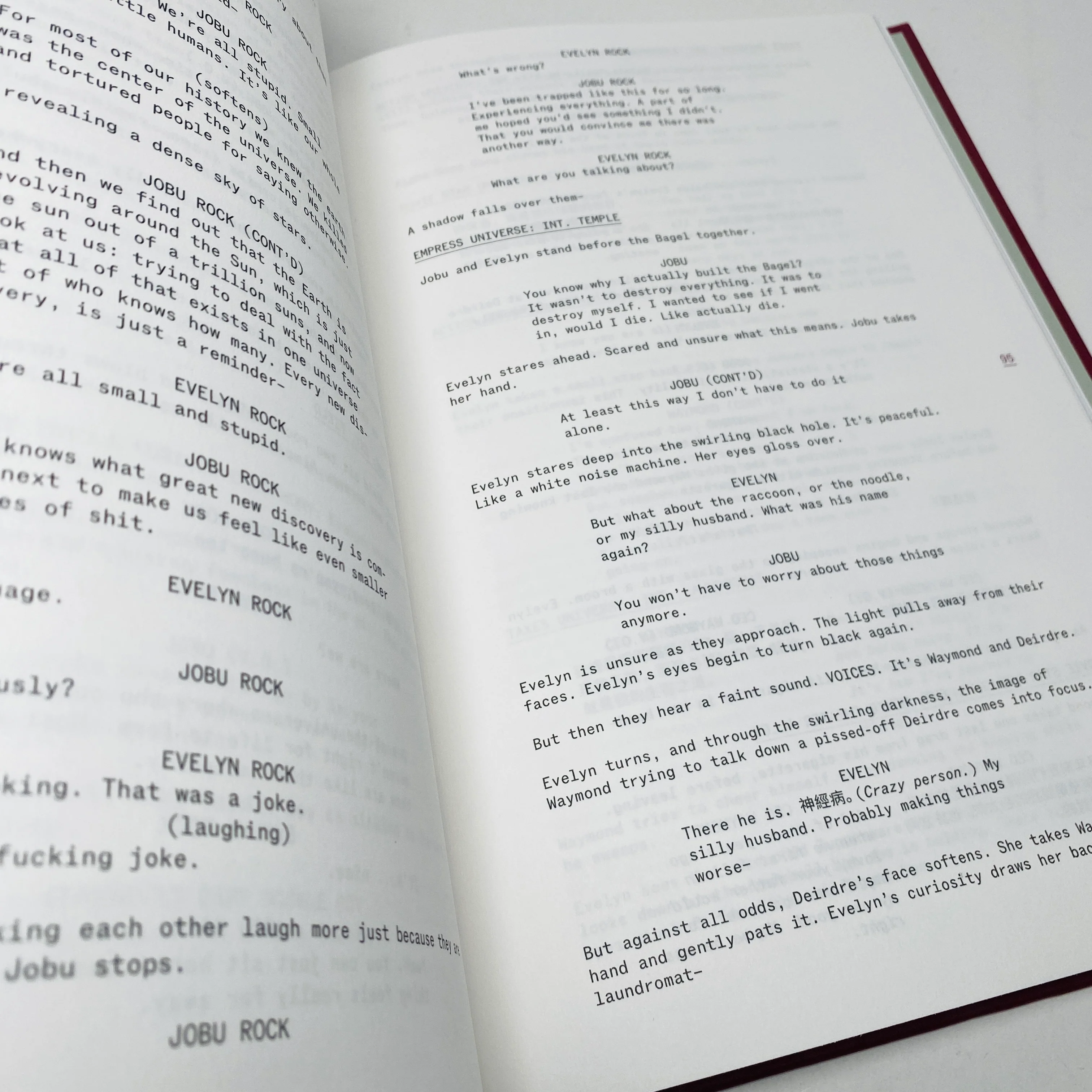 Everything Everywhere All at Once Screenplay Book - Image 3