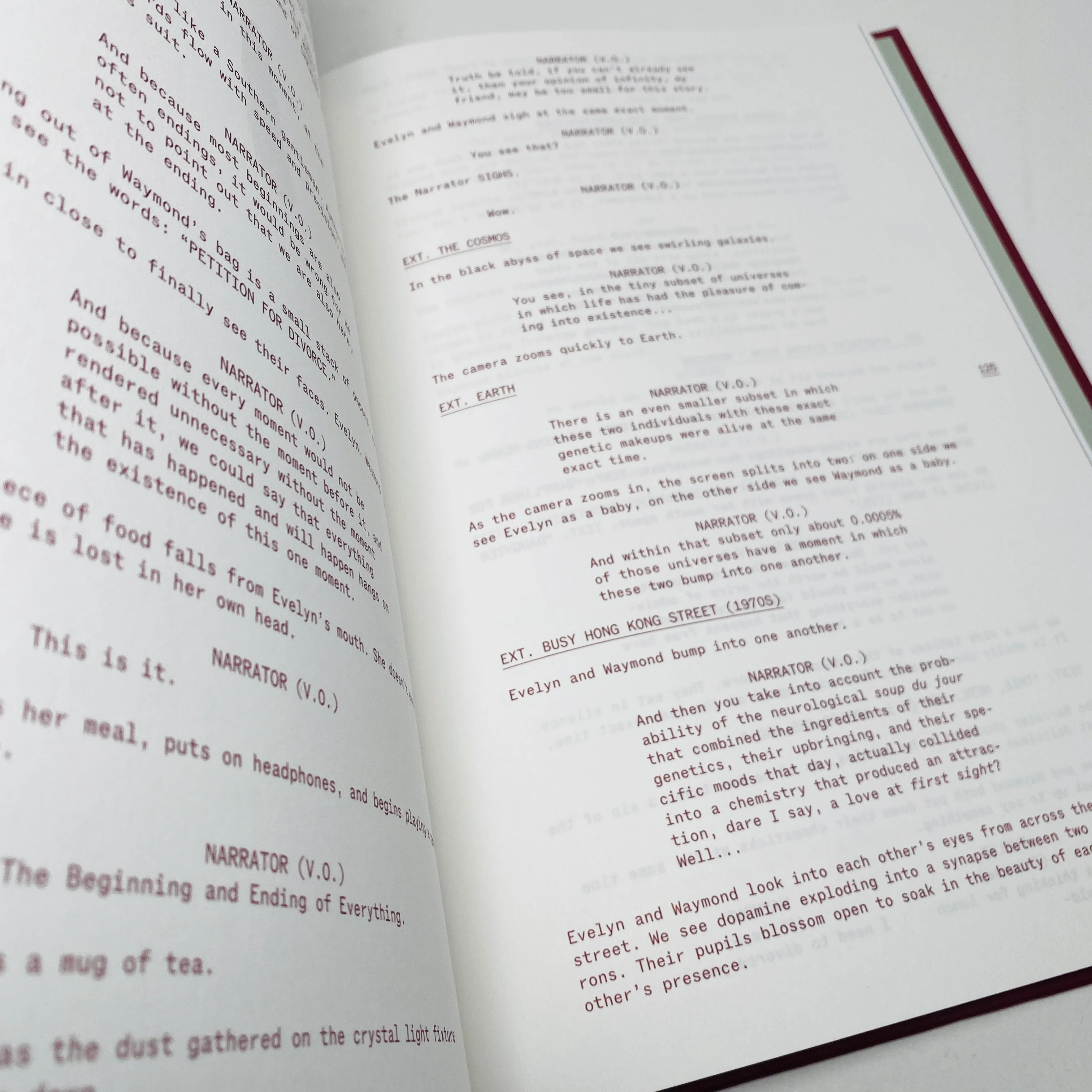 Everything Everywhere All at Once Screenplay Book - Image 4