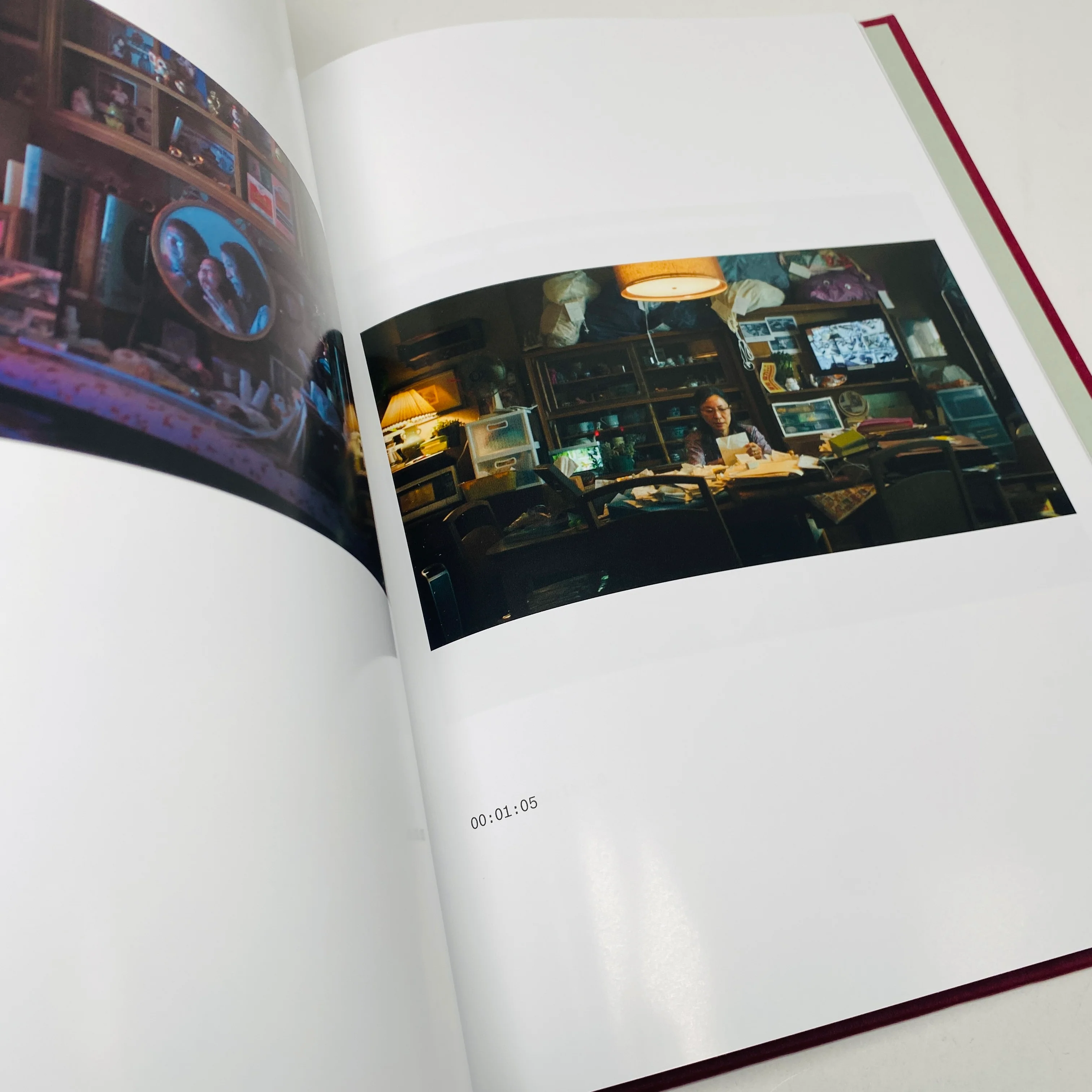 Everything Everywhere All at Once Screenplay Book - Image 5