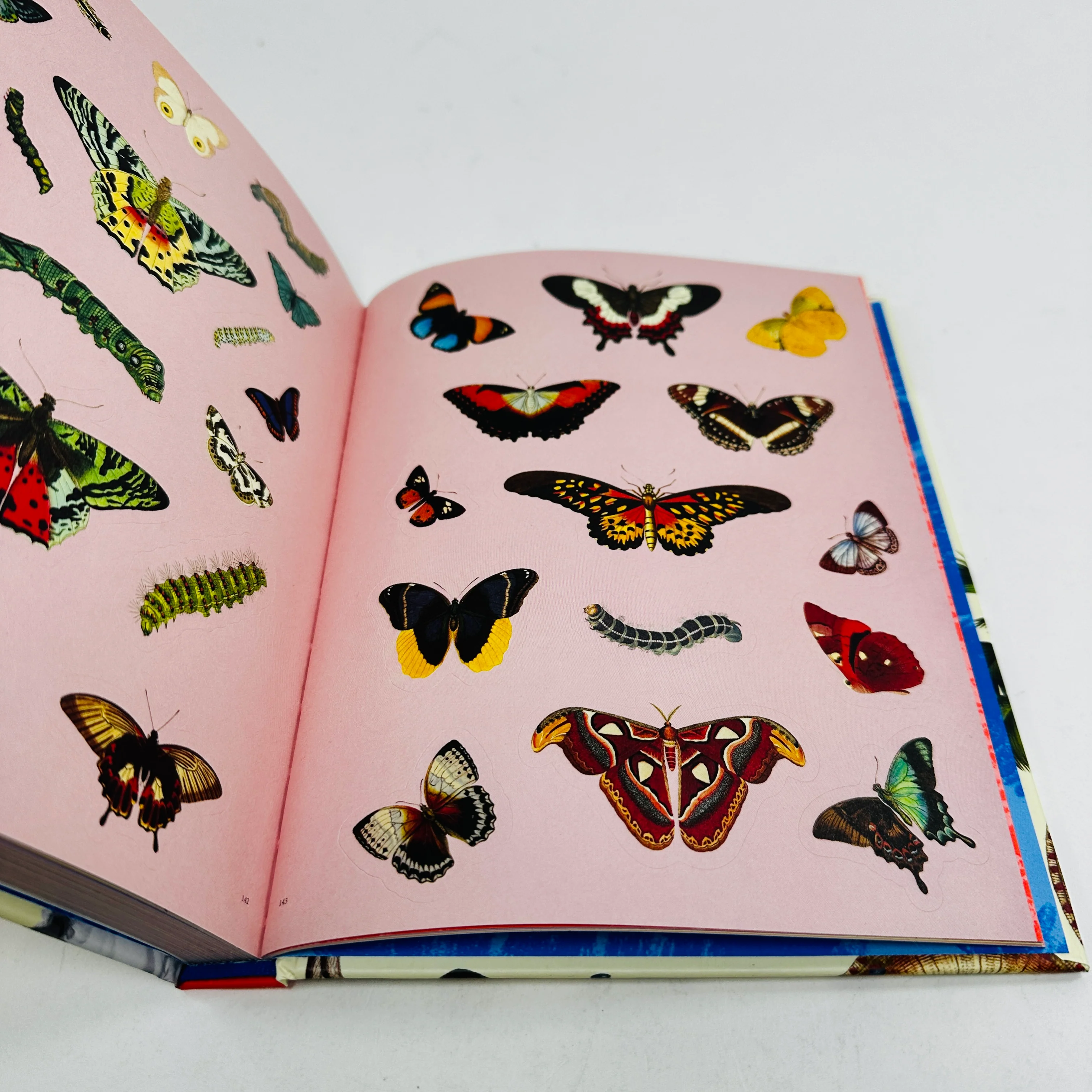 Extraordinary Things Sticker Book - Image 3