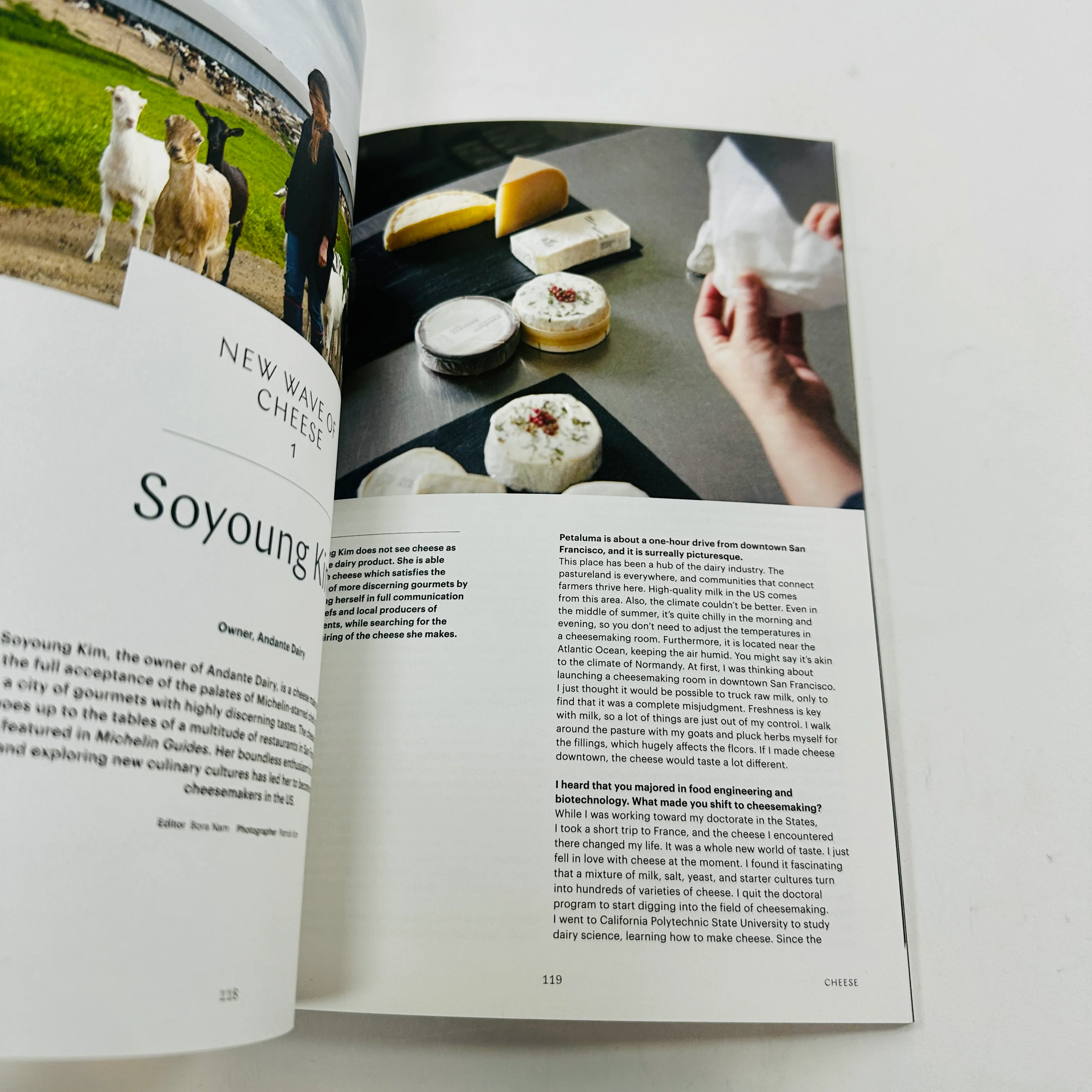 F Magazine #2 - Cheese - Image 3
