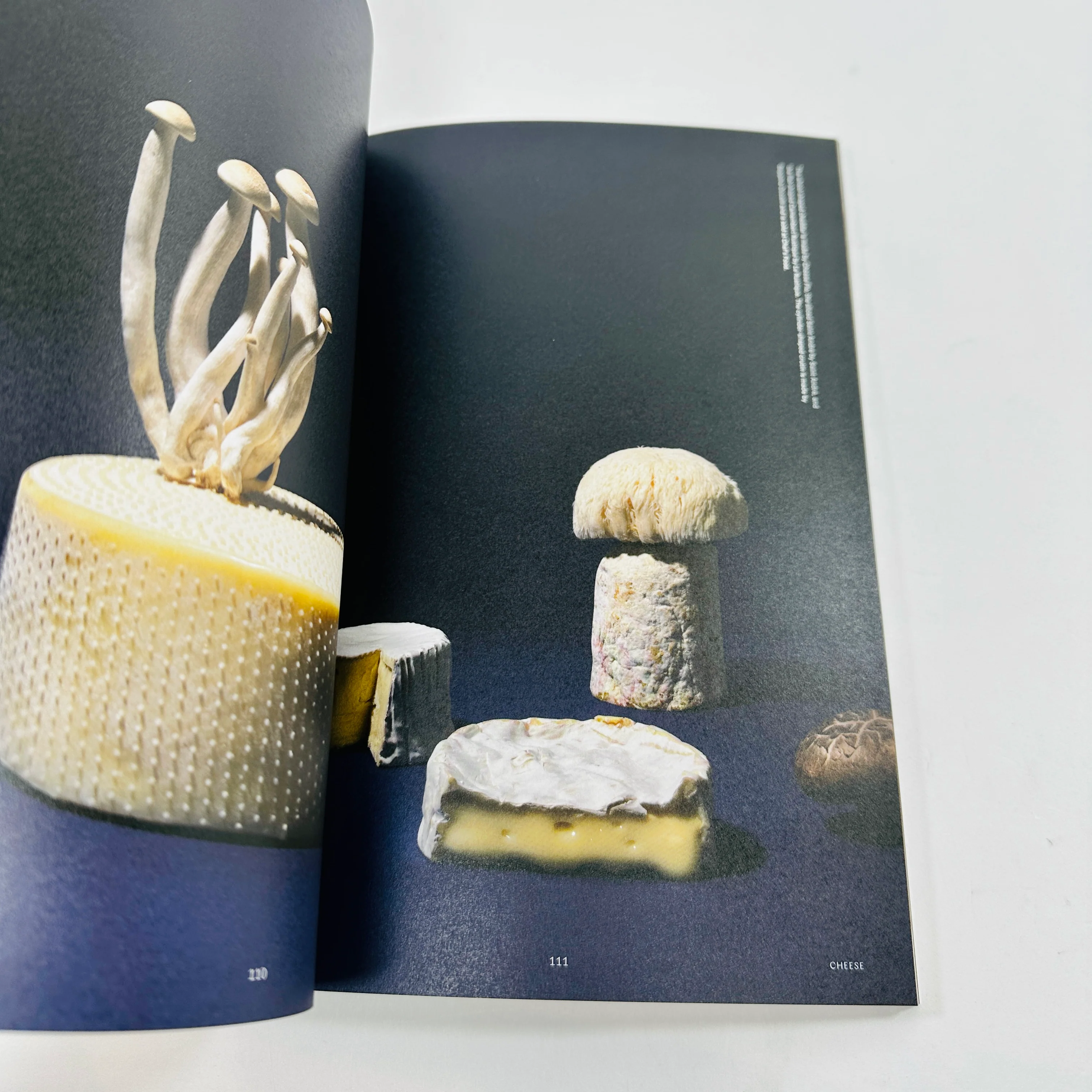 F Magazine #2 - Cheese - Image 4