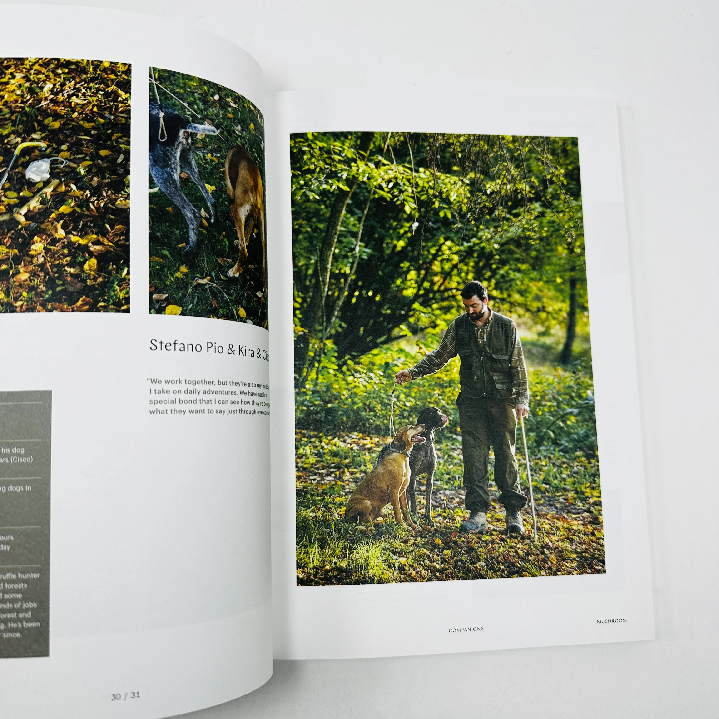 F Magazine #23 - Mushroom - Image 3