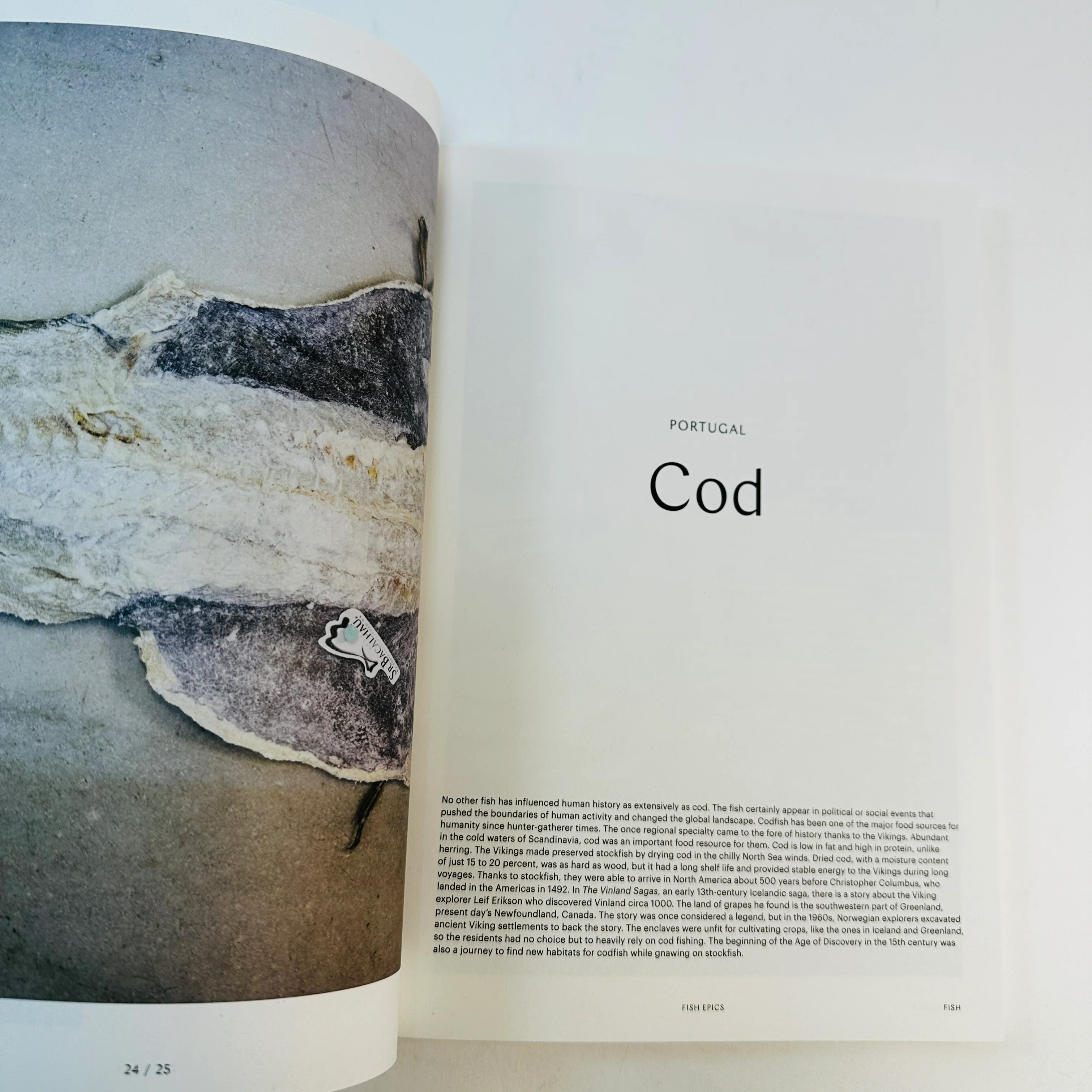F Magazine #27 - Fish - Image 3